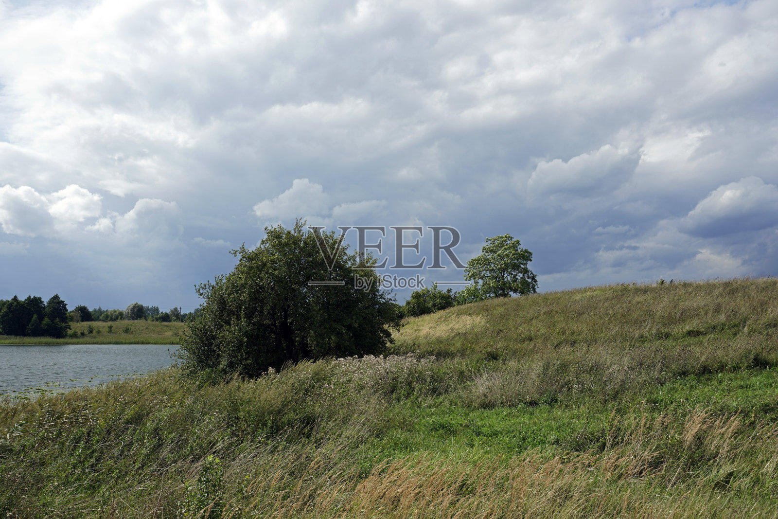农村景观。田野、森林和湖泊。白云。蓝色的天空照片摄影图片