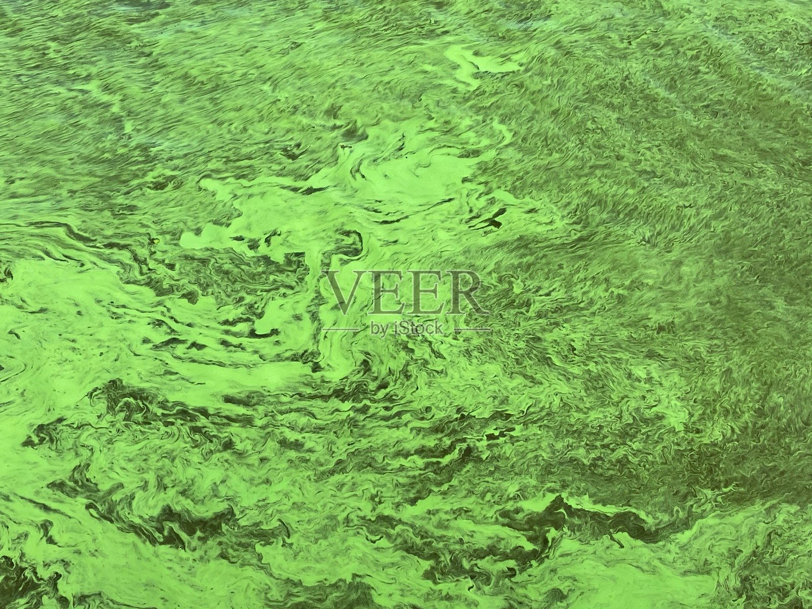 全球环境污染。湖里、河里、海湾里、池塘里、水池里又脏又绿的水。水藻泛滥，生态不良，废水照片摄影图片