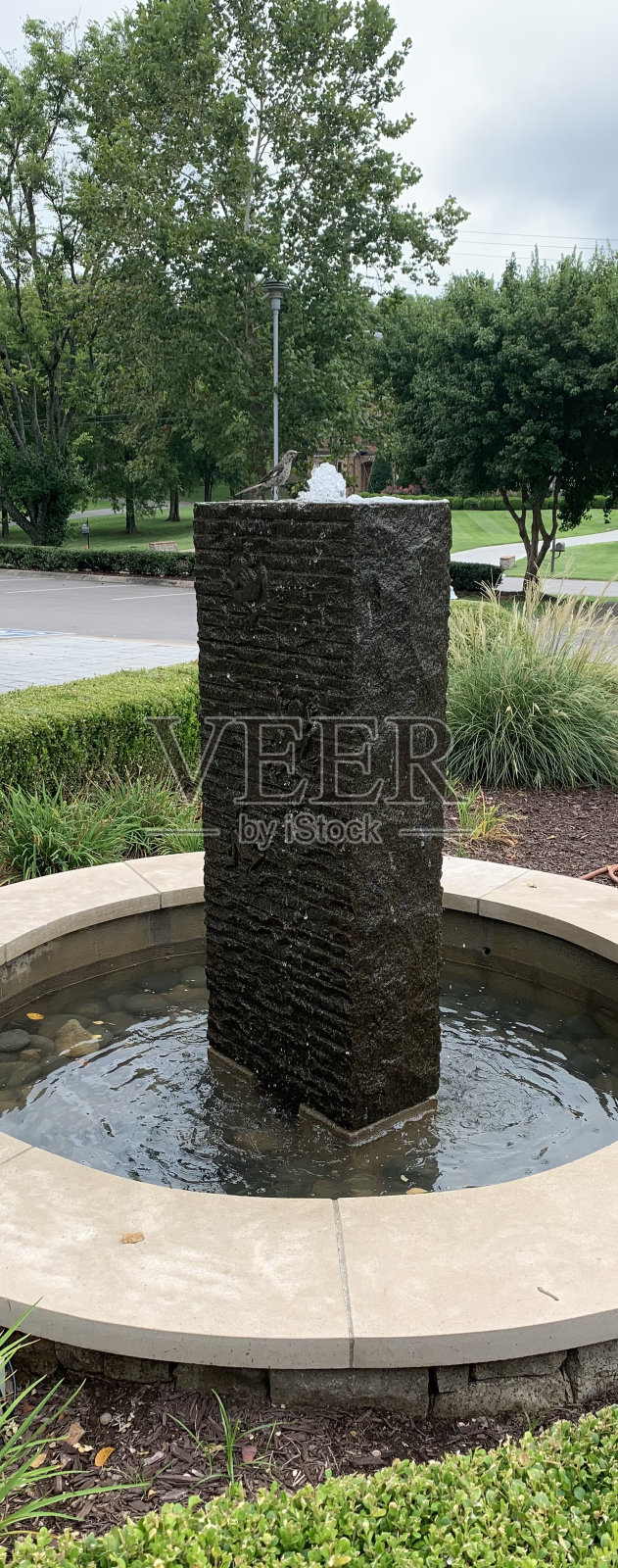 鸟儿参观宁静的泡泡喷泉照片摄影图片