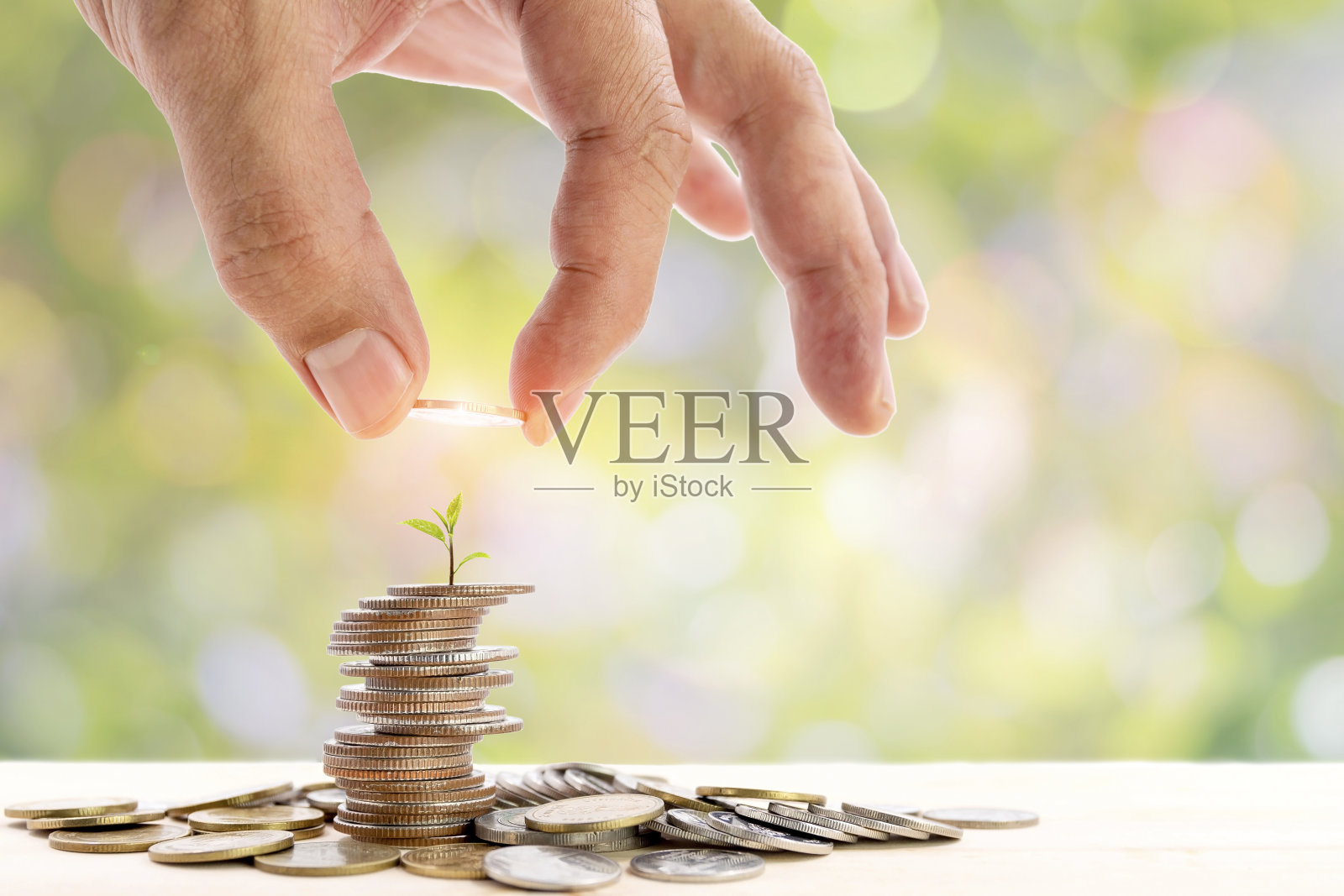 人的手把一个硬币放在一堆硬币上，顶上有一棵小树。照片摄影图片