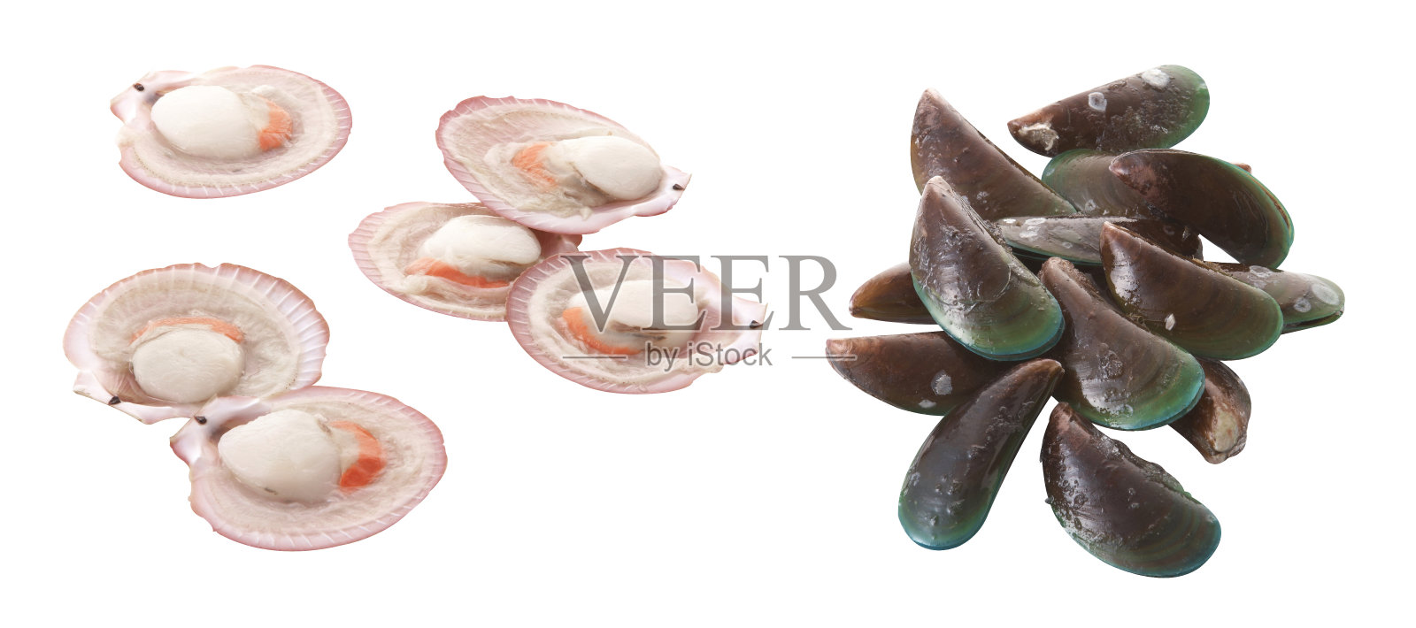 一群生扇贝和贻贝被隔离在白色背景上照片摄影图片