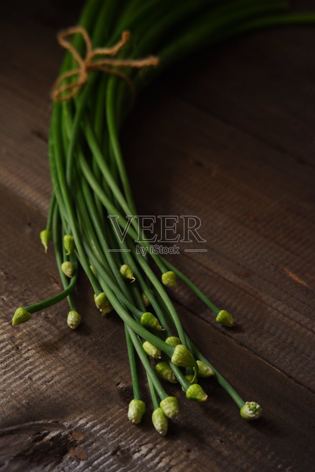 洋葱花照片摄影图片