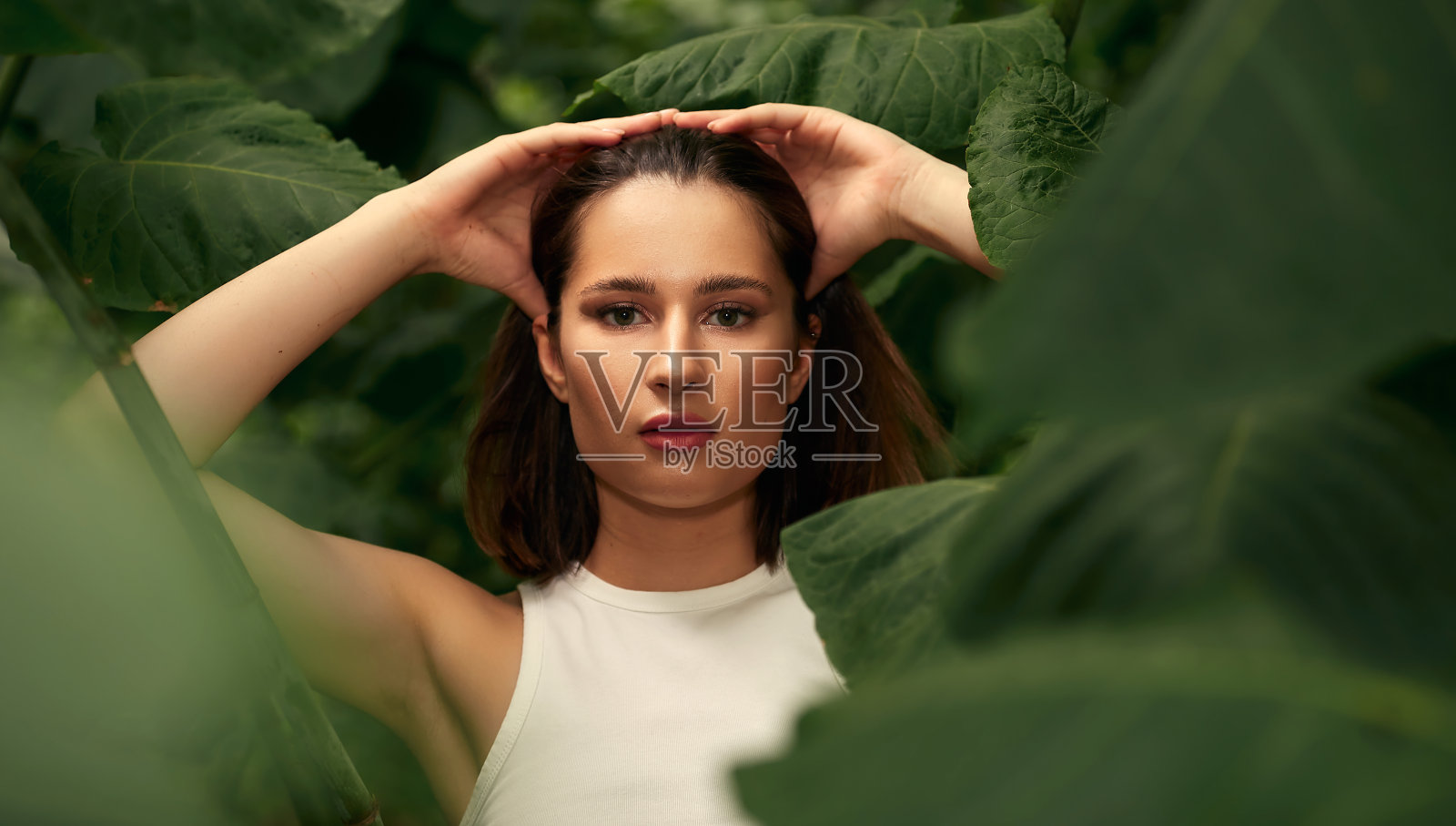 女人脸在绿叶中享受大自然。美丽的女人的肖像与健康的光泽光滑的皮肤与天然的绿色棕榈叶。美容理念，文字自由空间照片摄影图片