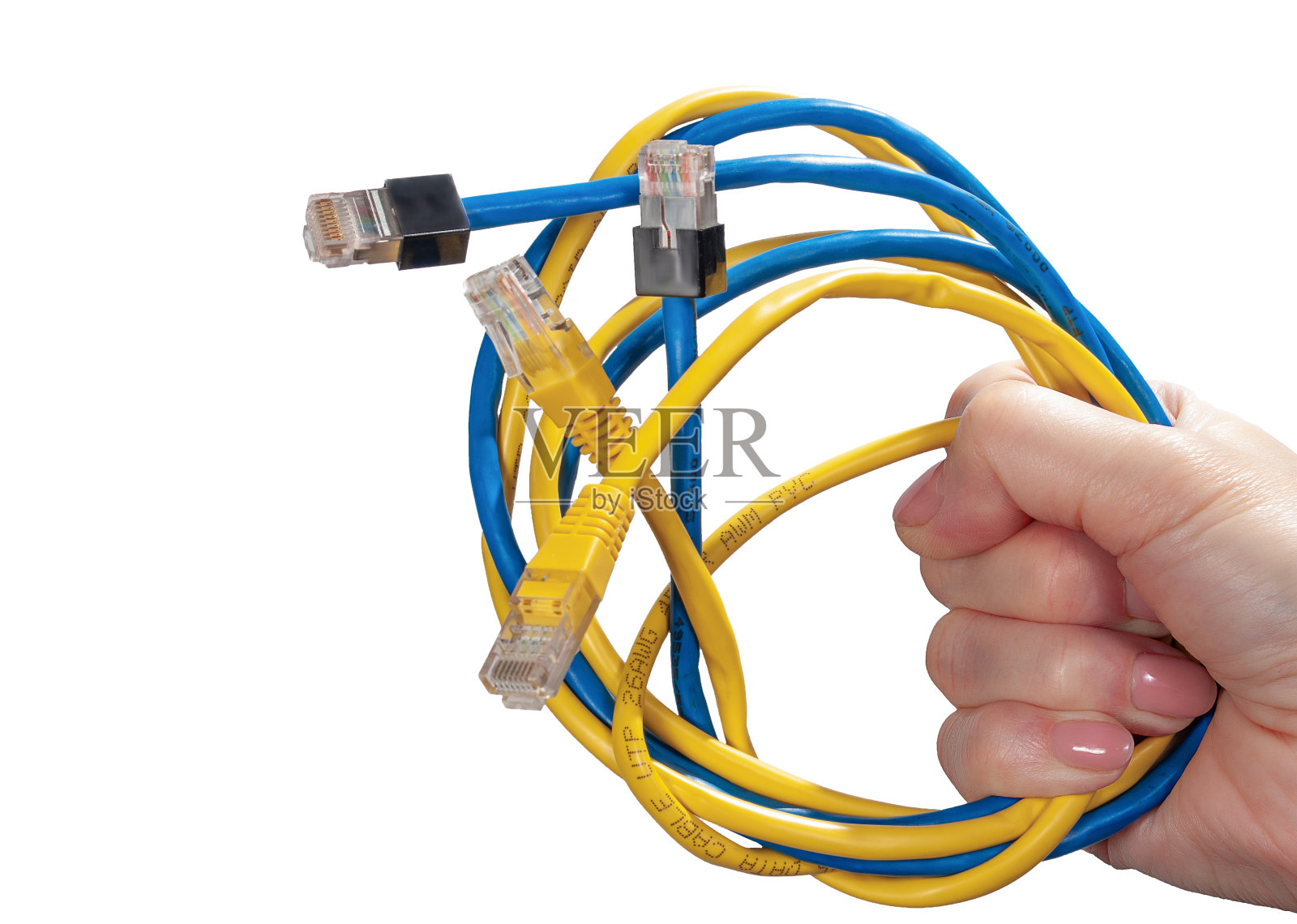 蓝色和黄色的以太网电缆在白色的背景上隔离在女性的手中。不同颜色的以太网计算机接口电缆束照片摄影图片