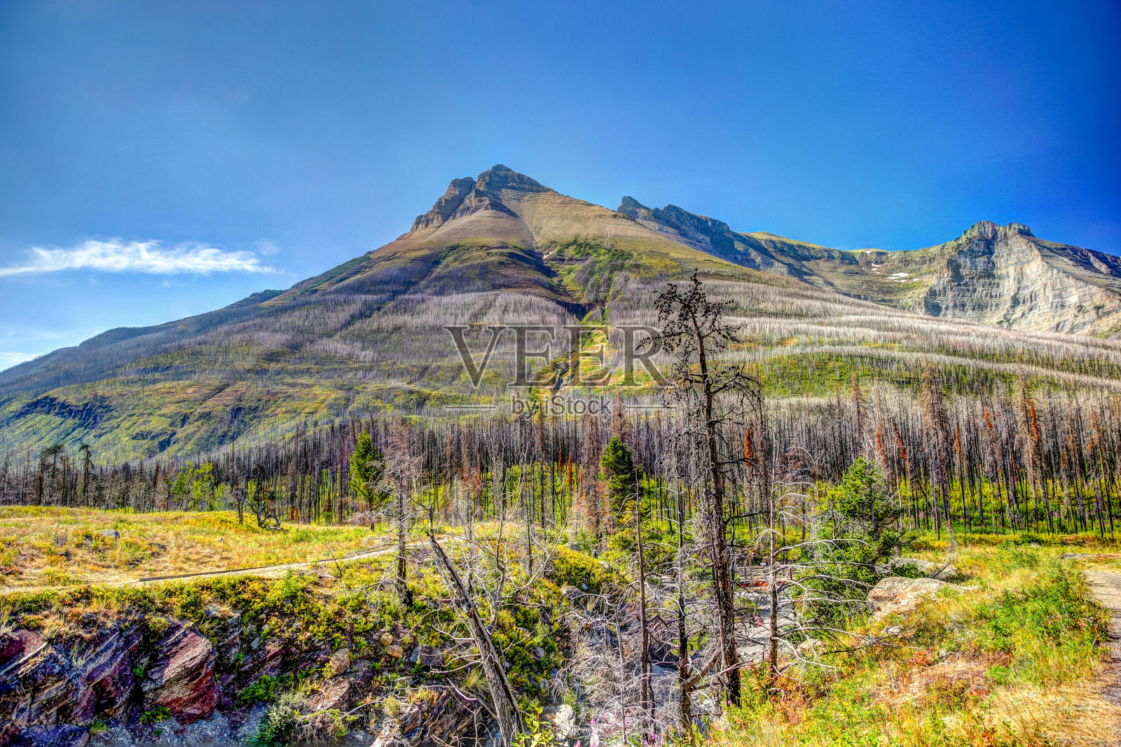 加拿大阿尔伯塔省南部沃特顿湖国家公园的红岩峡谷和布莱克斯顿瀑布景观照片摄影图片