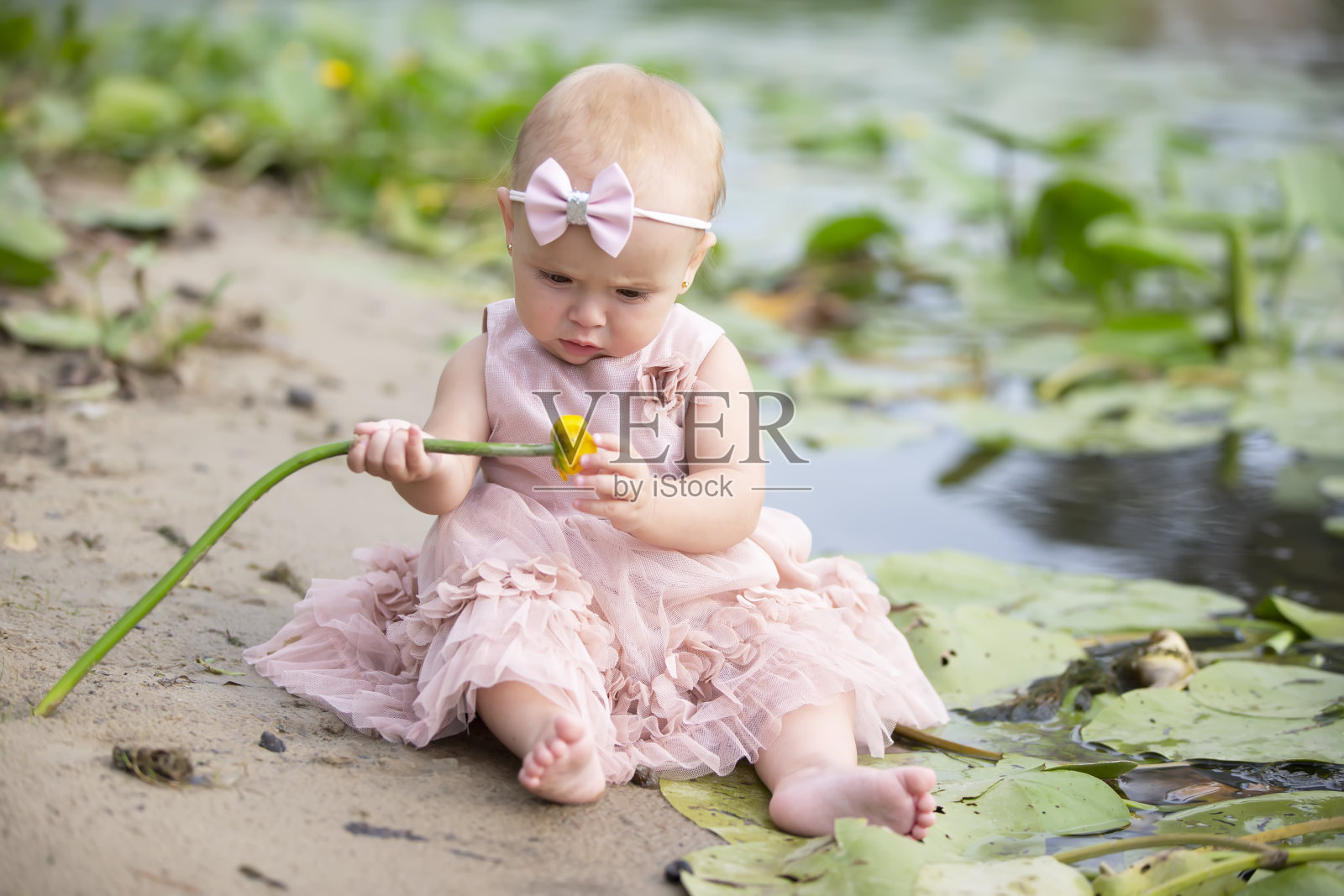 一个美丽的小女孩坐在河边，手里拿着一朵黄色的百合。孩子与自然。照片摄影图片