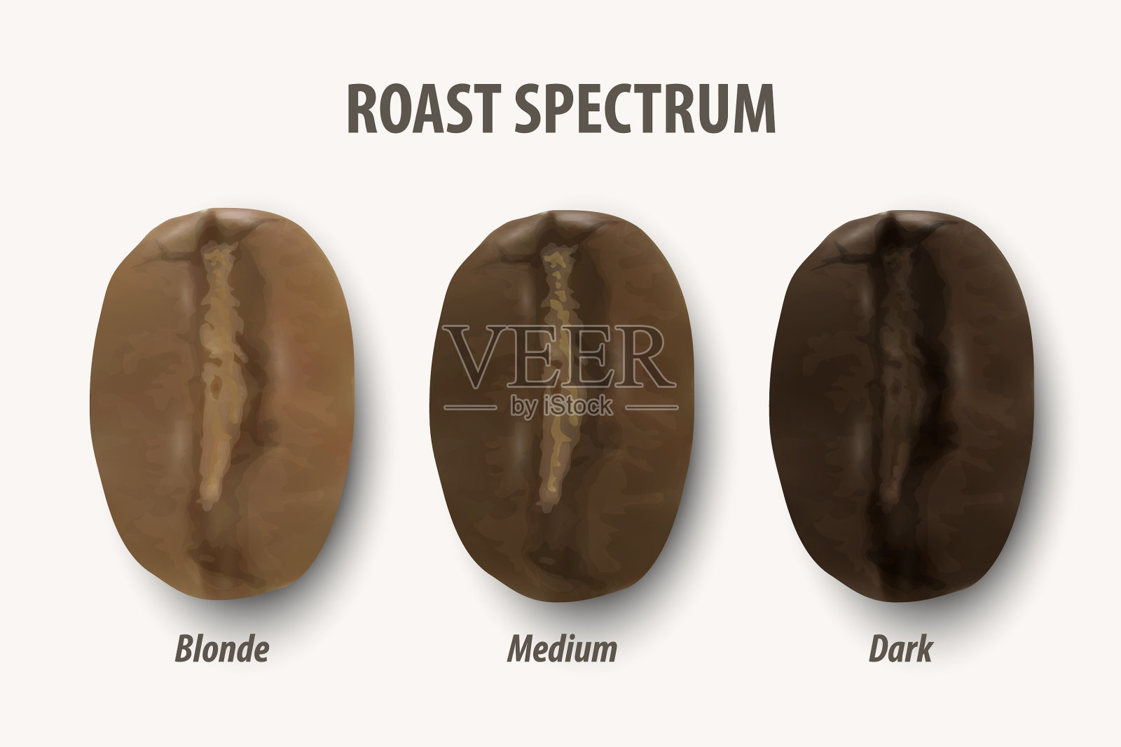 三阶段烘焙咖啡3d现实插画图片素材