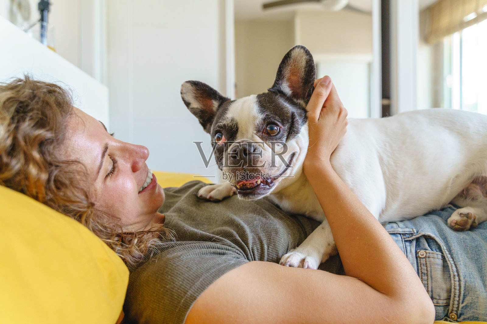 有动物在室内生活。照片摄影图片