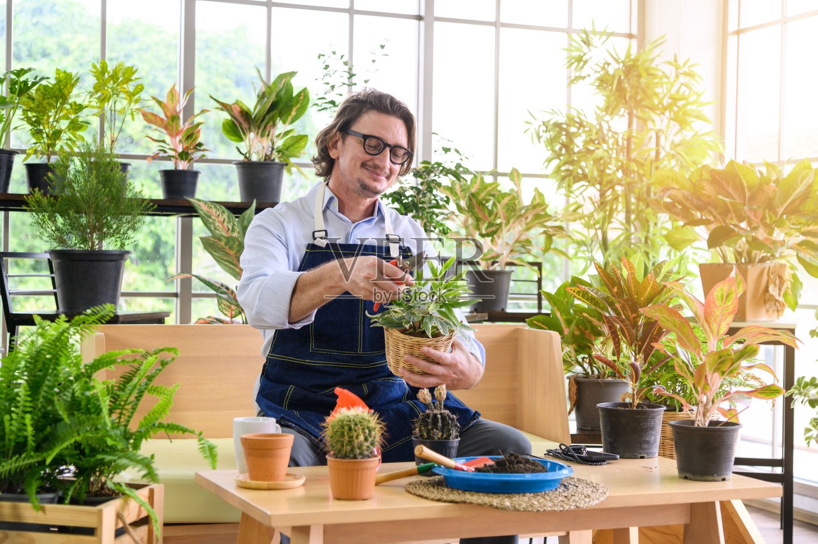 快乐老人的肖像戴着眼镜用剪刀修剪和园艺小植物作为家庭园艺的爱好在家里。照片摄影图片