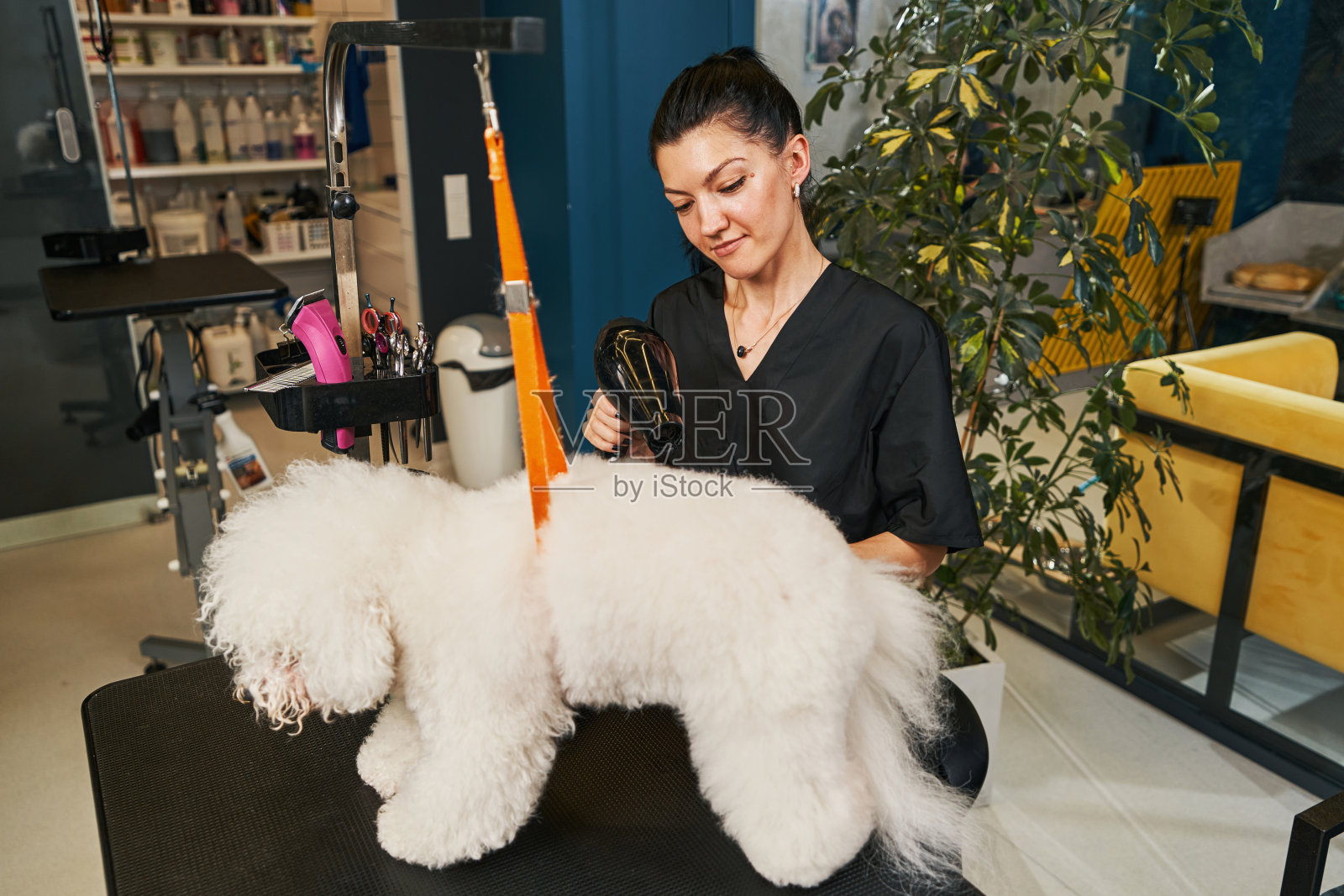 自信的美容师把所有的注意力都放在这个过程上照片摄影图片