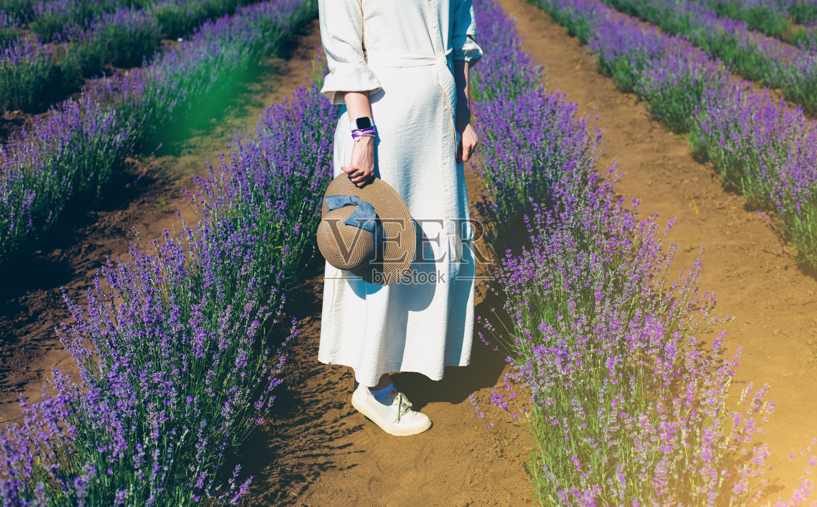 女孩身穿白色亚麻连衣裙，带着薰衣草花束，戴着草帽，走在夏日田野上美丽的紫色薰衣草花丛中。温馨灵感的概念。漫游癖和旅行。照片摄影图片