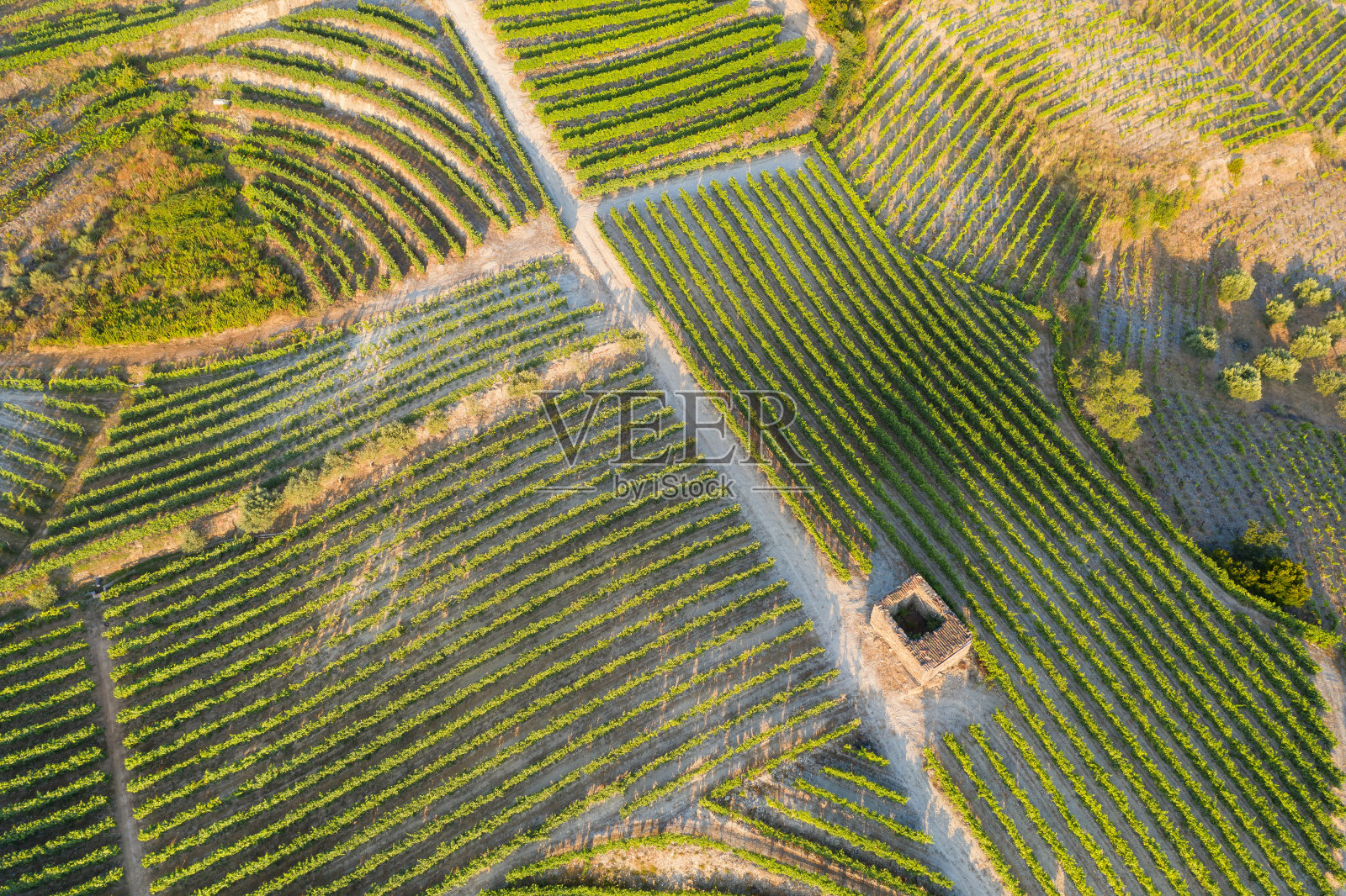 鸟瞰图，梯田葡萄园在浪漫的日落杜罗山谷附近的品豪村。在葡萄牙旅游的概念和葡萄牙最美丽的地方葡萄酒港葡萄酒农场Unesco照片摄影图片