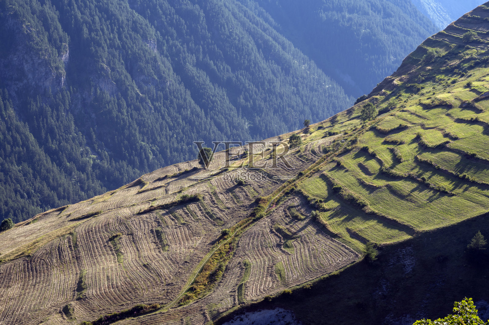 法国阿尔卑斯的埃克林国家公园里的瓦桑山脉的山景照片摄影图片