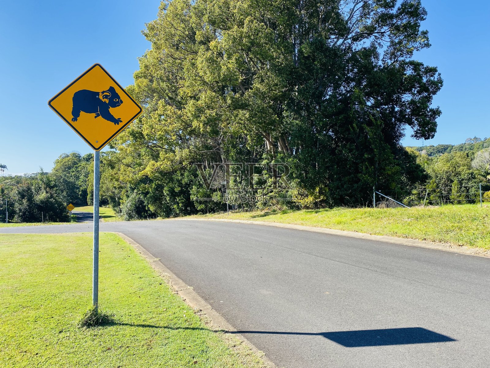 考拉熊安全路标照片摄影图片
