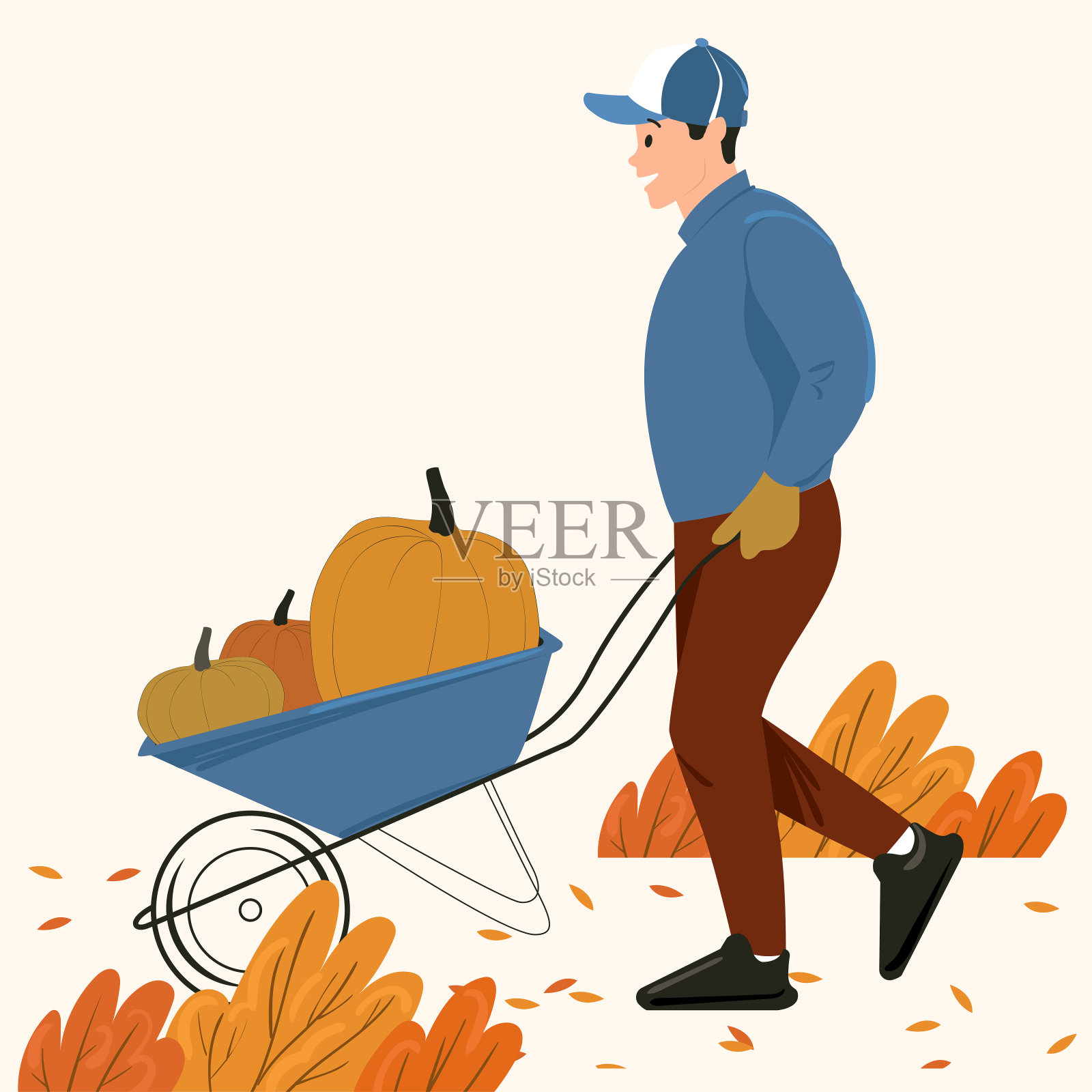 农民或农民收集南瓜插画图片素材