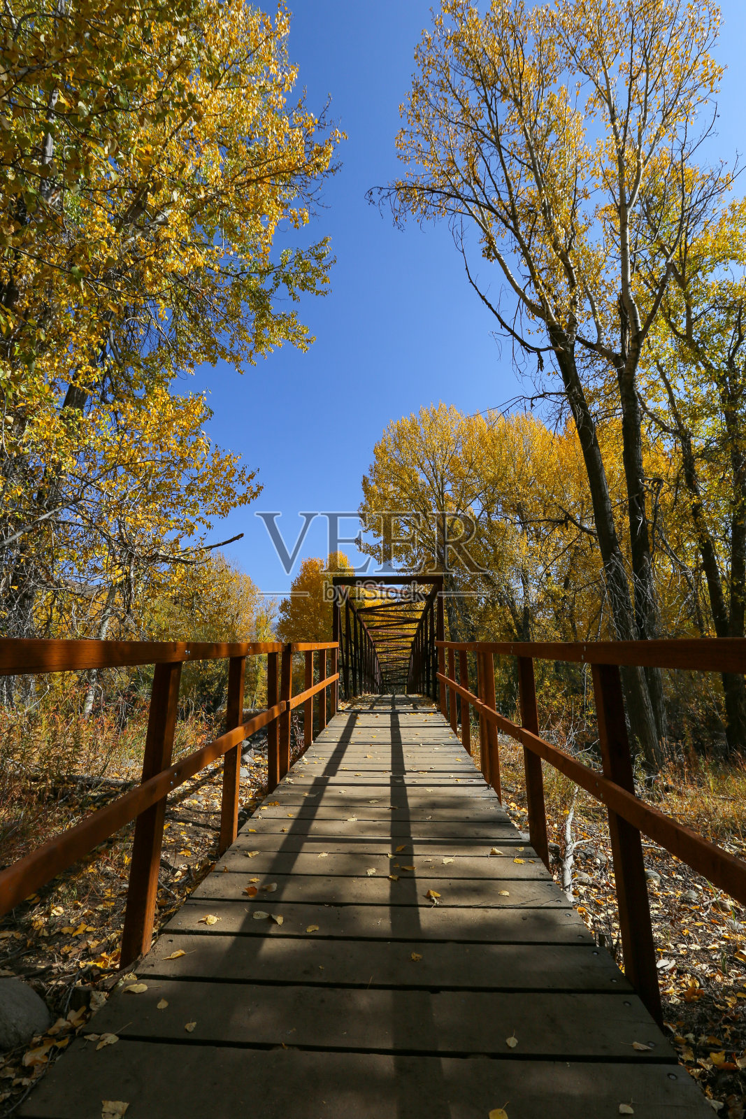 爱达荷州太阳谷的秋天照片摄影图片