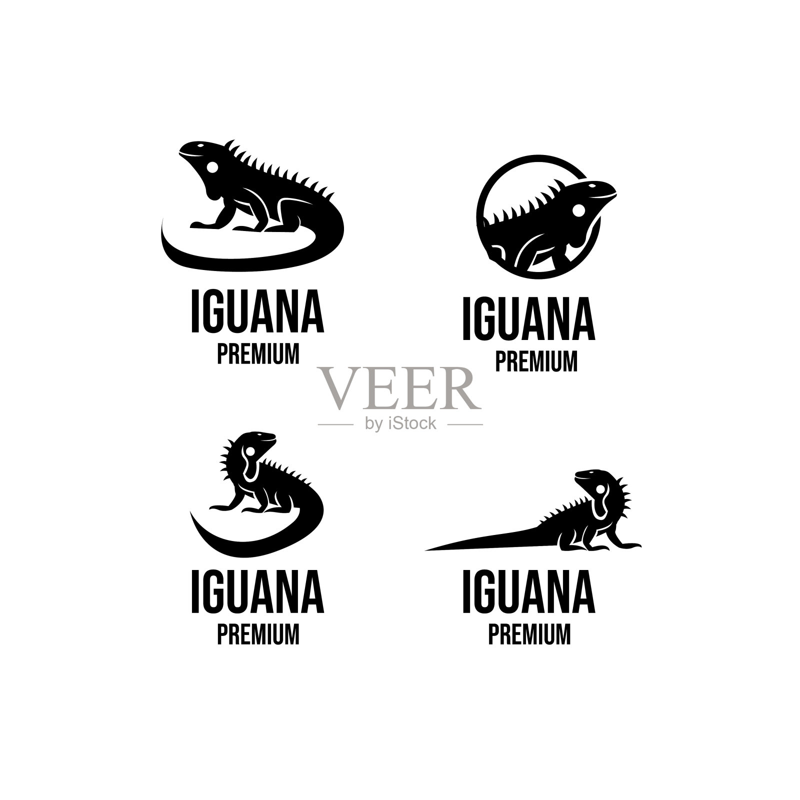 集收藏蜥蜴图标设计插图插画图片素材