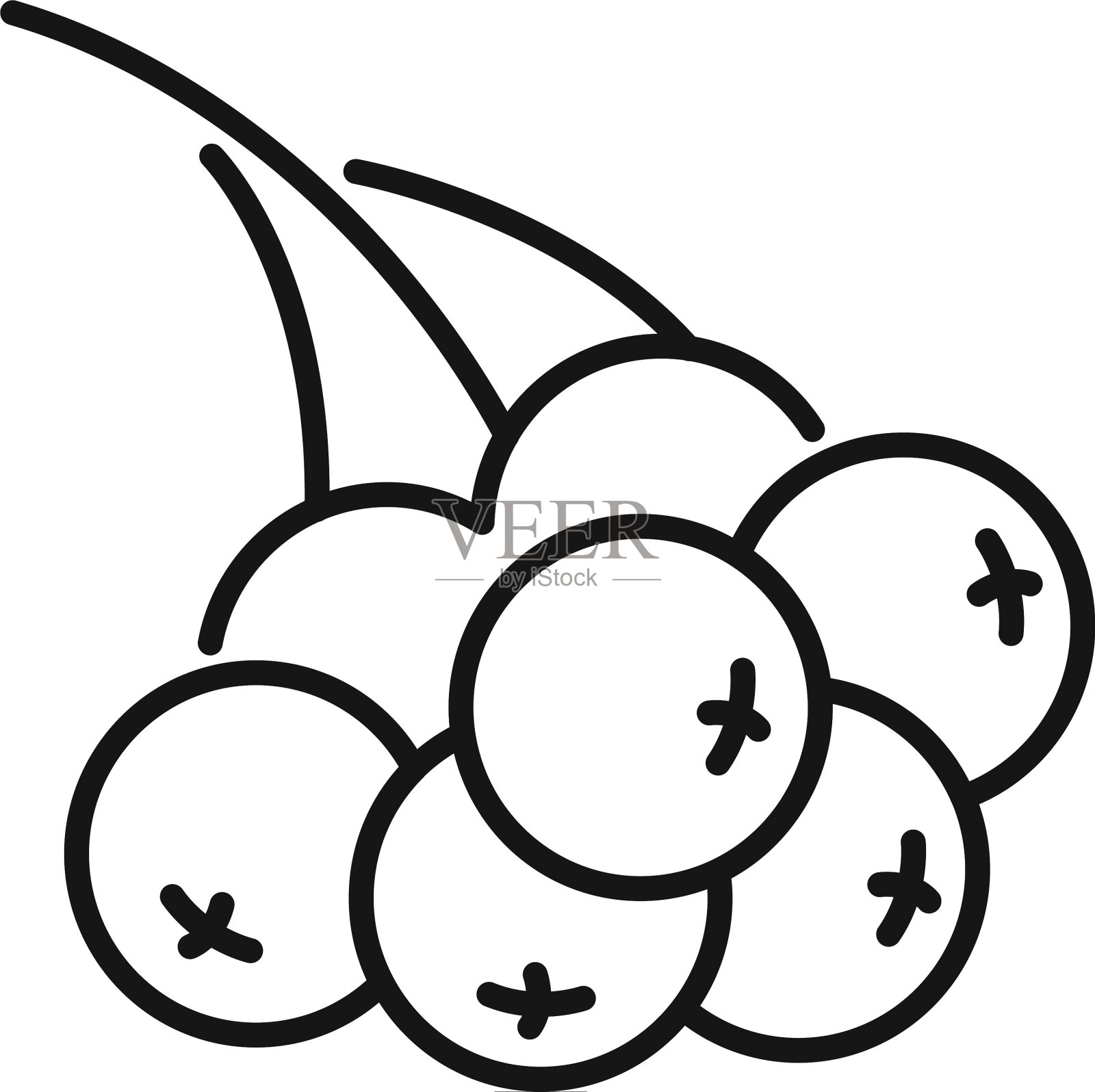 花楸树枝浆果图标轮廓风格设计元素图片