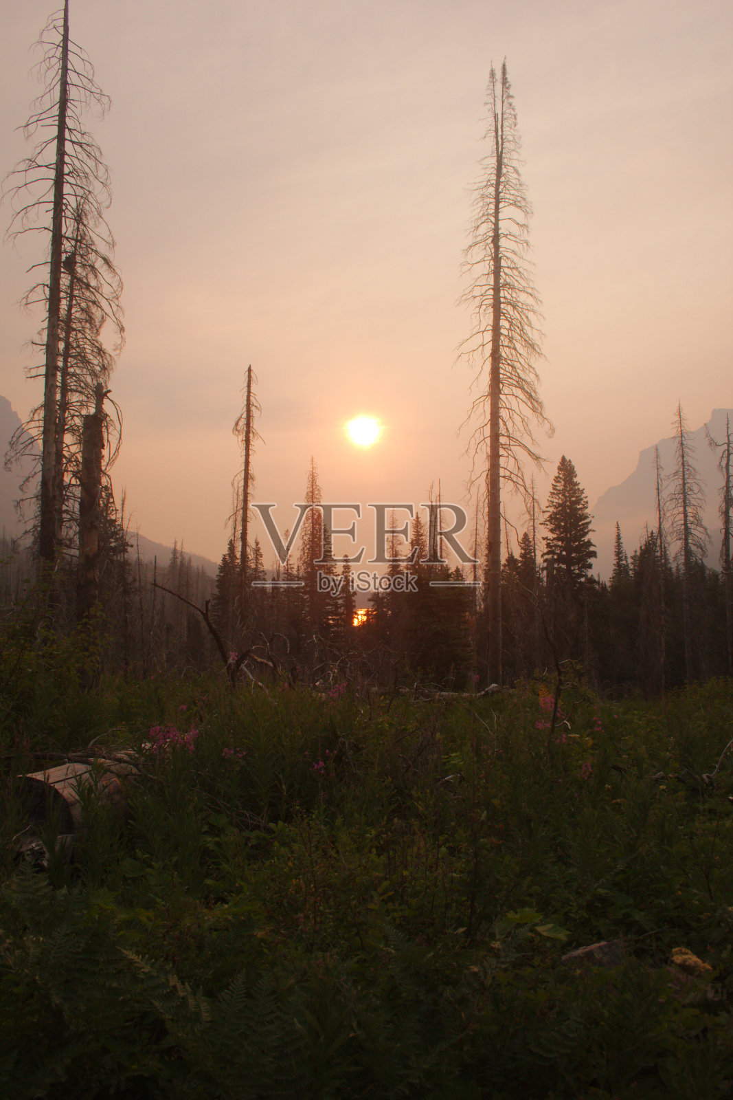 冰川国家公园的日出照片摄影图片