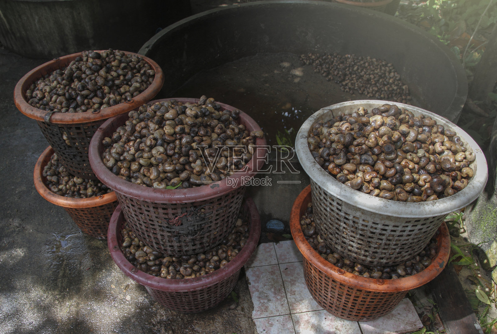 脱壳腰果背景，泰国照片摄影图片