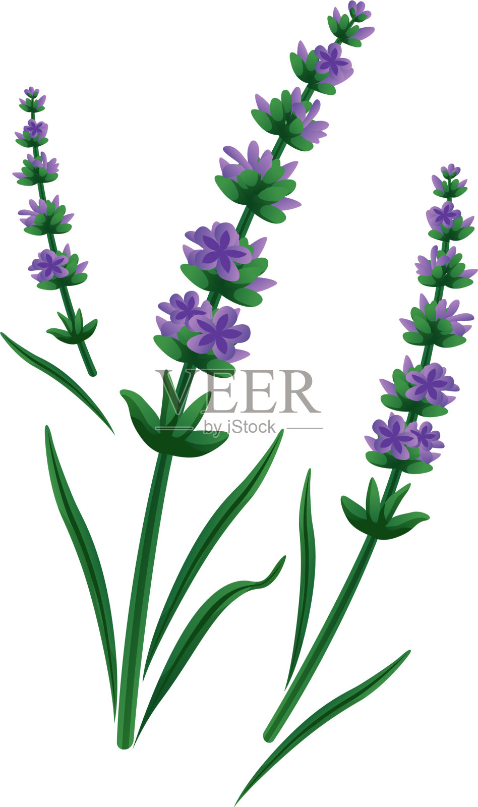 薰衣草花图标设计元素图片