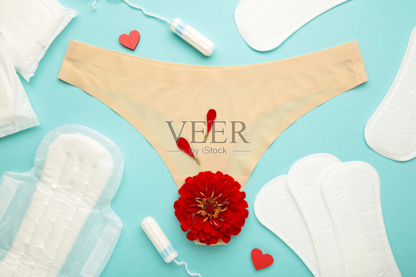淡蓝色背景上有月经垫和卫生棉条的女性内裤。前视图。关键日子的概念，月经，女性卫生。一朵玫瑰躺在月经垫上。照片摄影图片