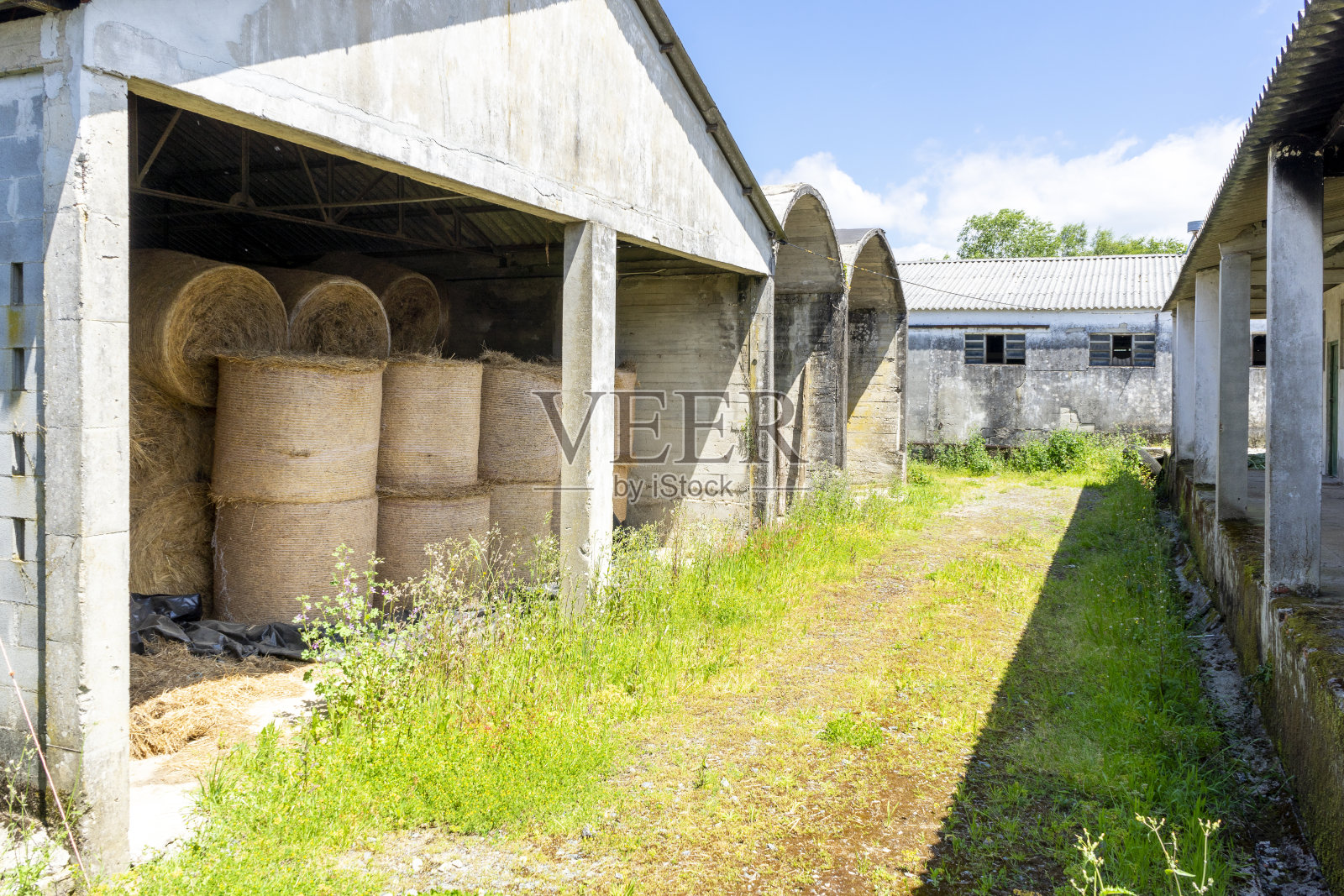 废弃的谷仓里存放着过冬用的成卷的草。照片摄影图片