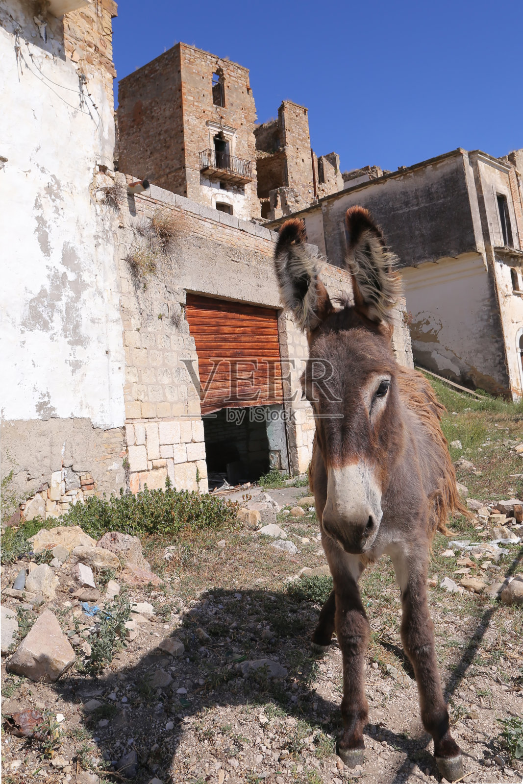 克拉科遗址的风景照片摄影图片