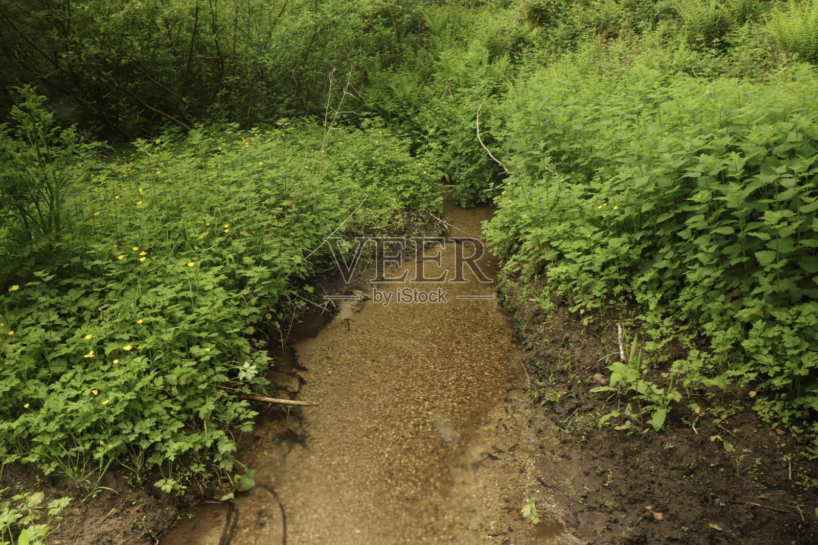在南康沃尔闲逛照片摄影图片