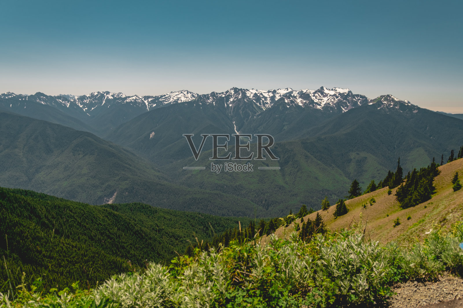 夏季的奥林匹克山脉，从奥林匹克国家公园的飓风山小径观看照片摄影图片