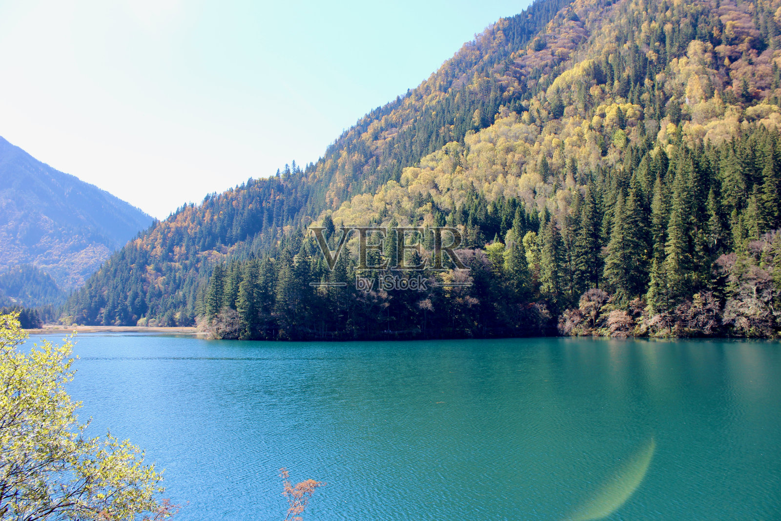 绿色的湖景照片摄影图片