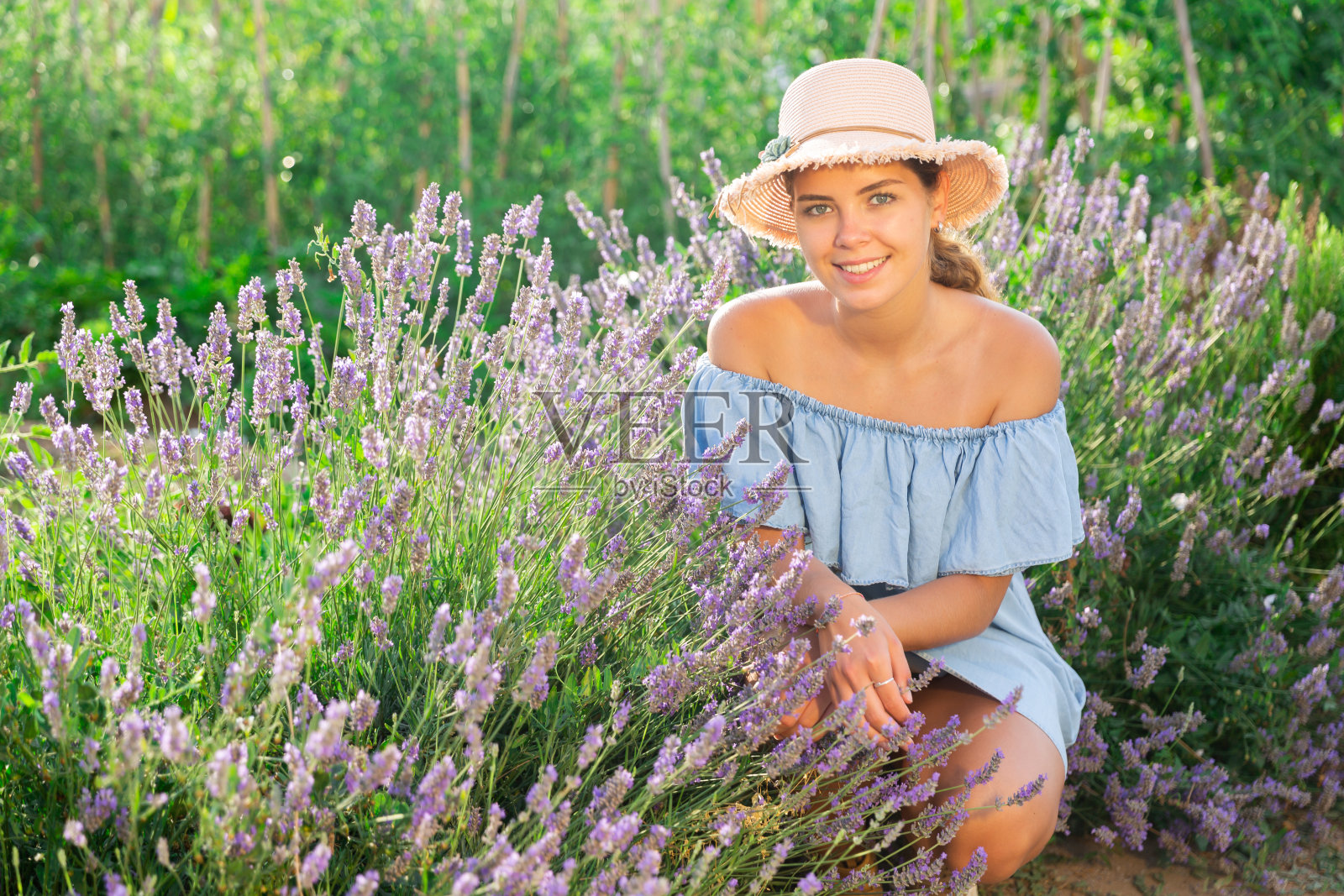 年轻的女士蹲在薰衣草灌木旁照片摄影图片