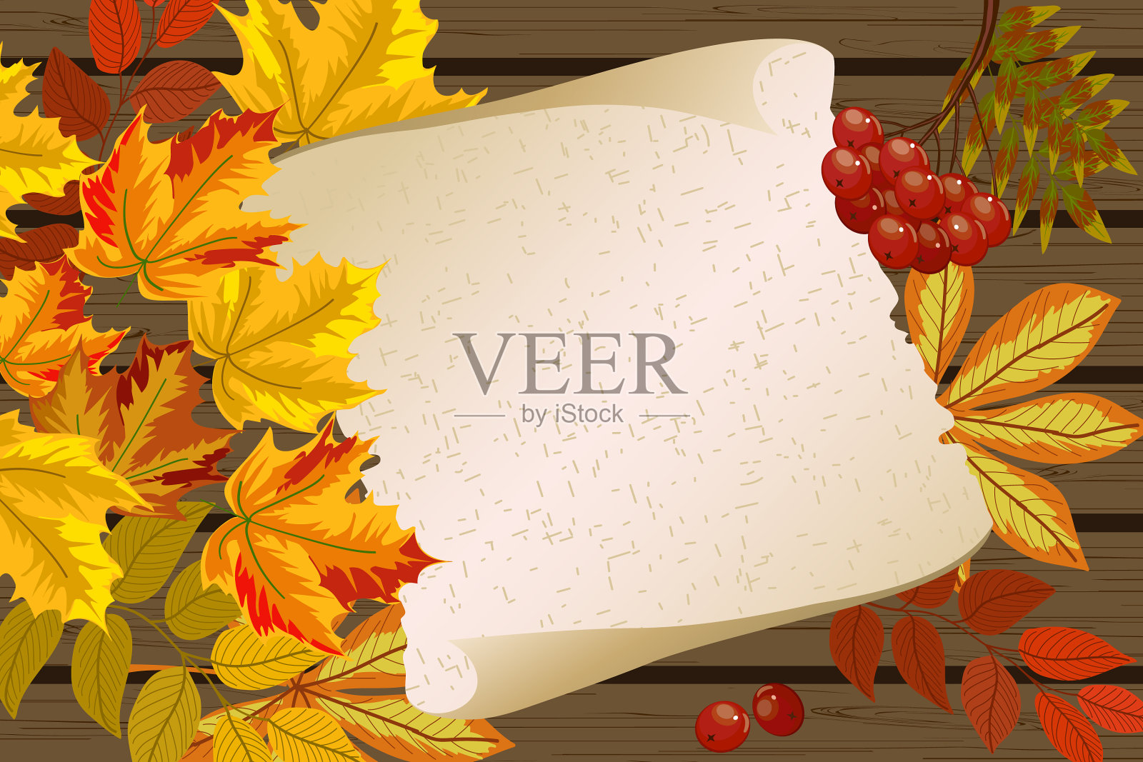 秋叶的色彩插画图片素材