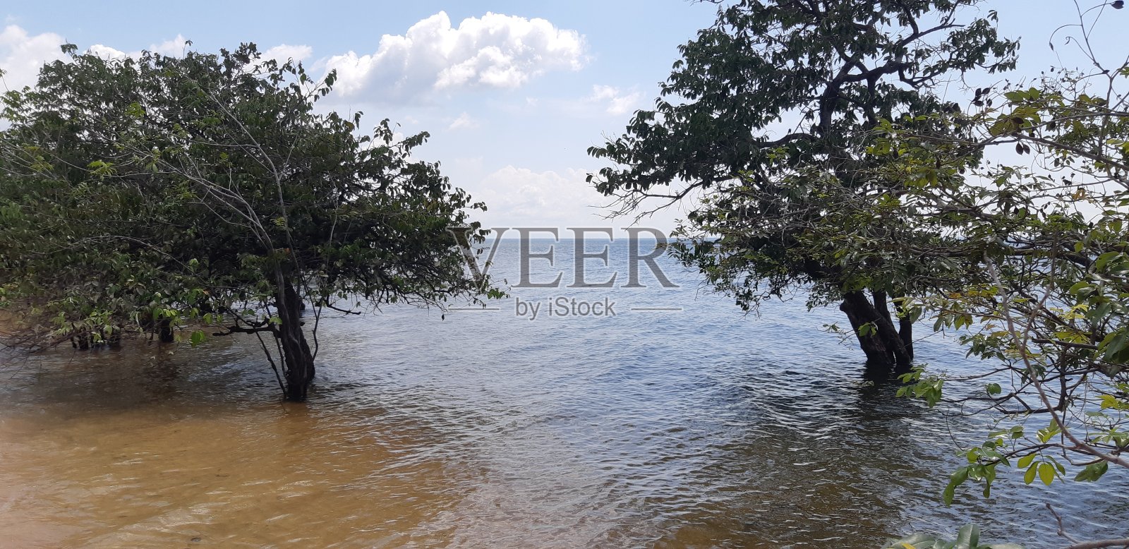 天然美女照片摄影图片