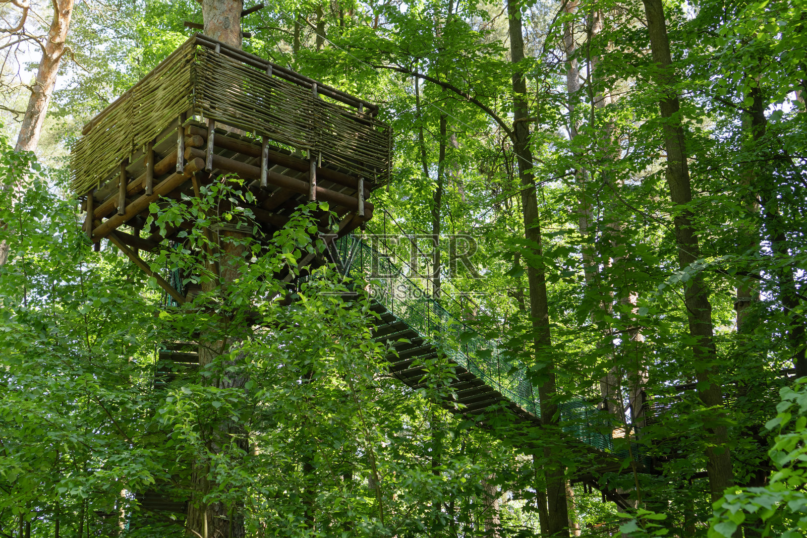 绳索人行桥位于森林中的高海拔茂密的树叶之间。娱乐为自然中的娱乐。照片摄影图片