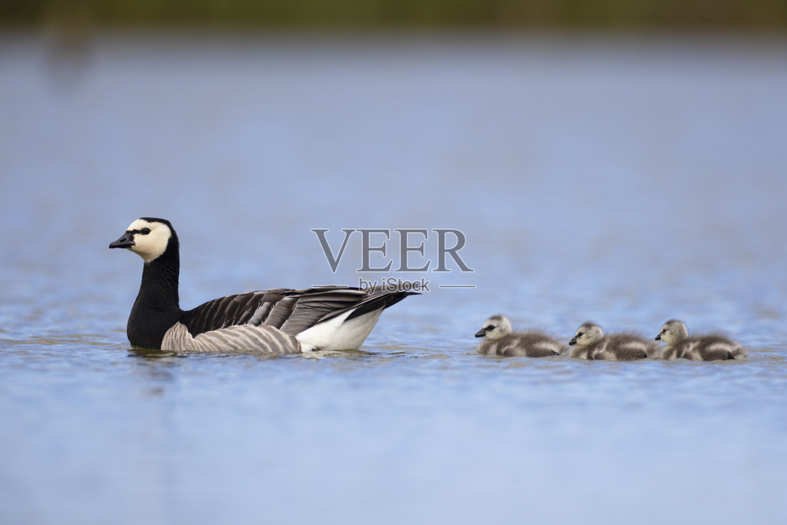 连续四次照片摄影图片