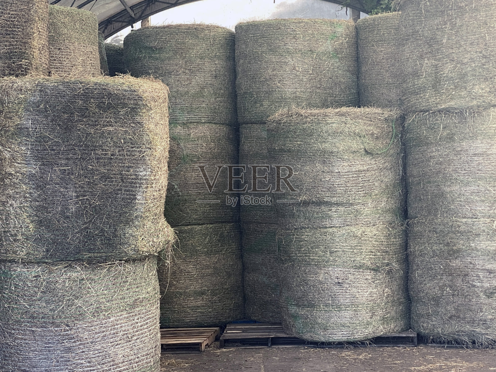 MS干草捆在农场照片摄影图片