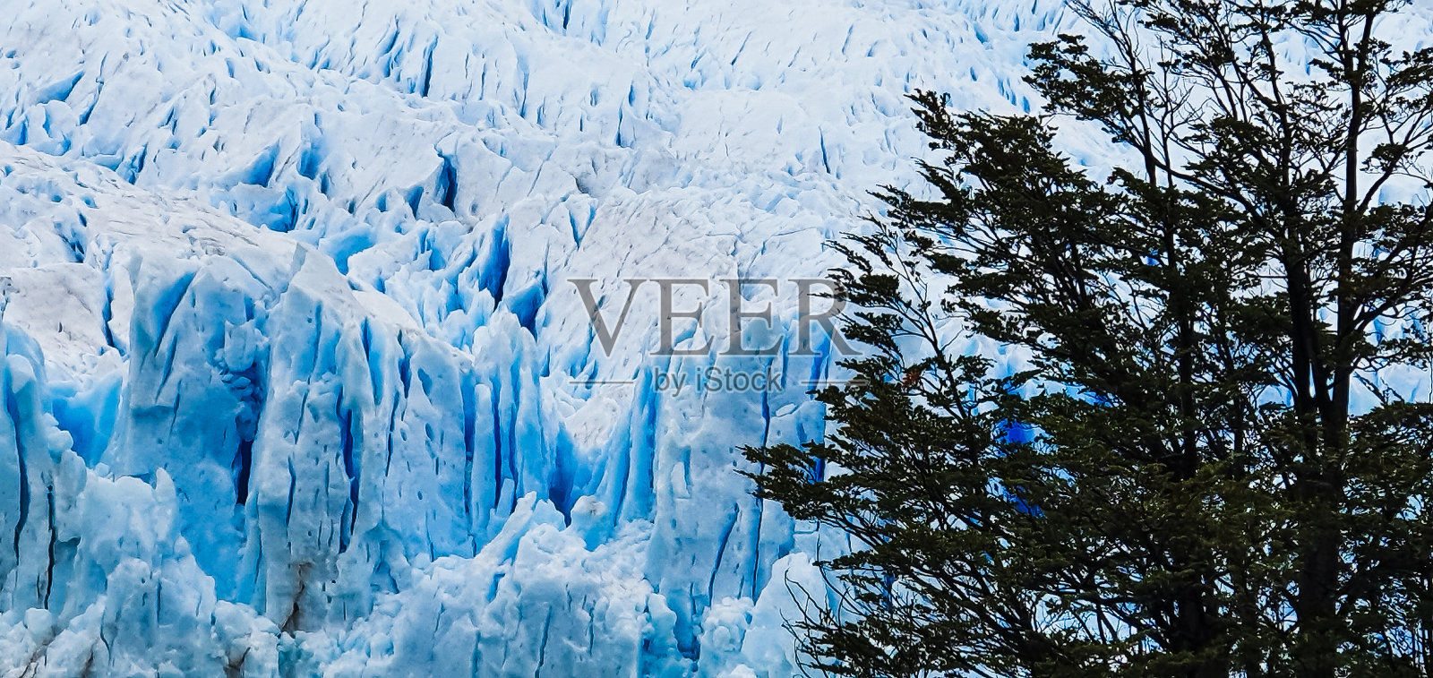 巴塔哥尼亚冰原照片摄影图片