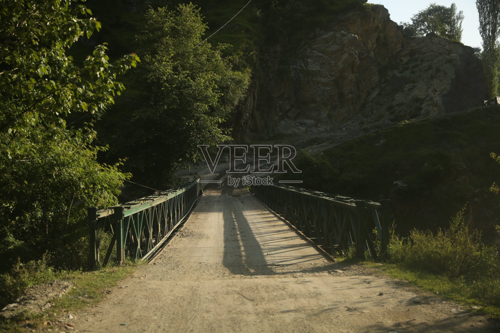 森林照片摄影图片