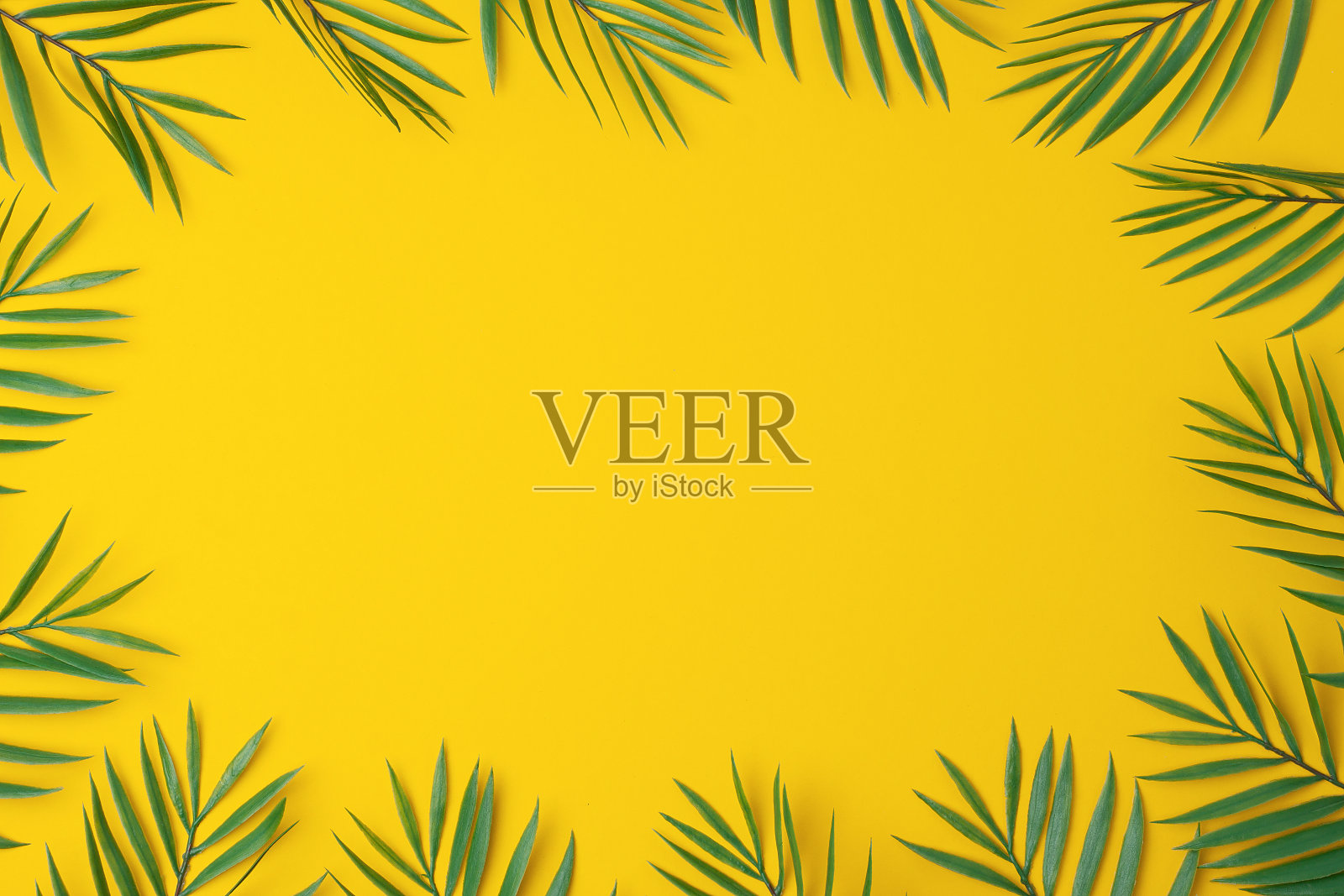 黄色背景与棕榈叶。平铺，复制空间照片摄影图片