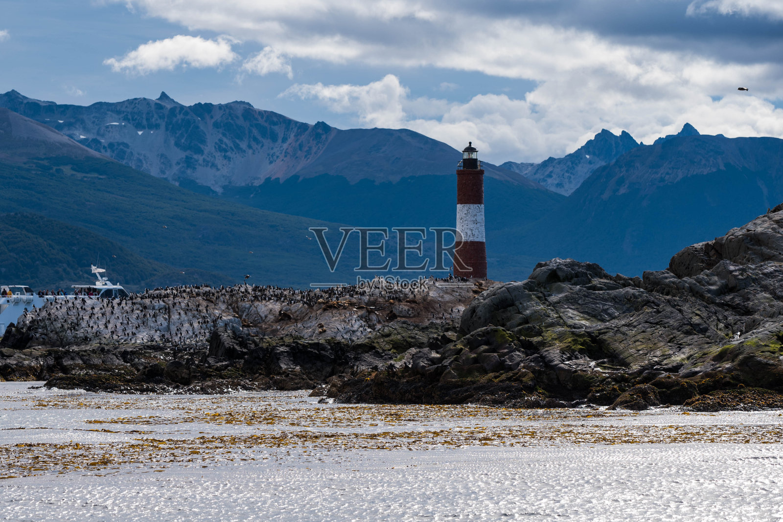 乌斯怀亚市附近比格尔海峡的鸟岛。乌斯怀亚是阿根廷火地岛省的首府。在灯塔旁边放满了鸟和企鹅。照片摄影图片