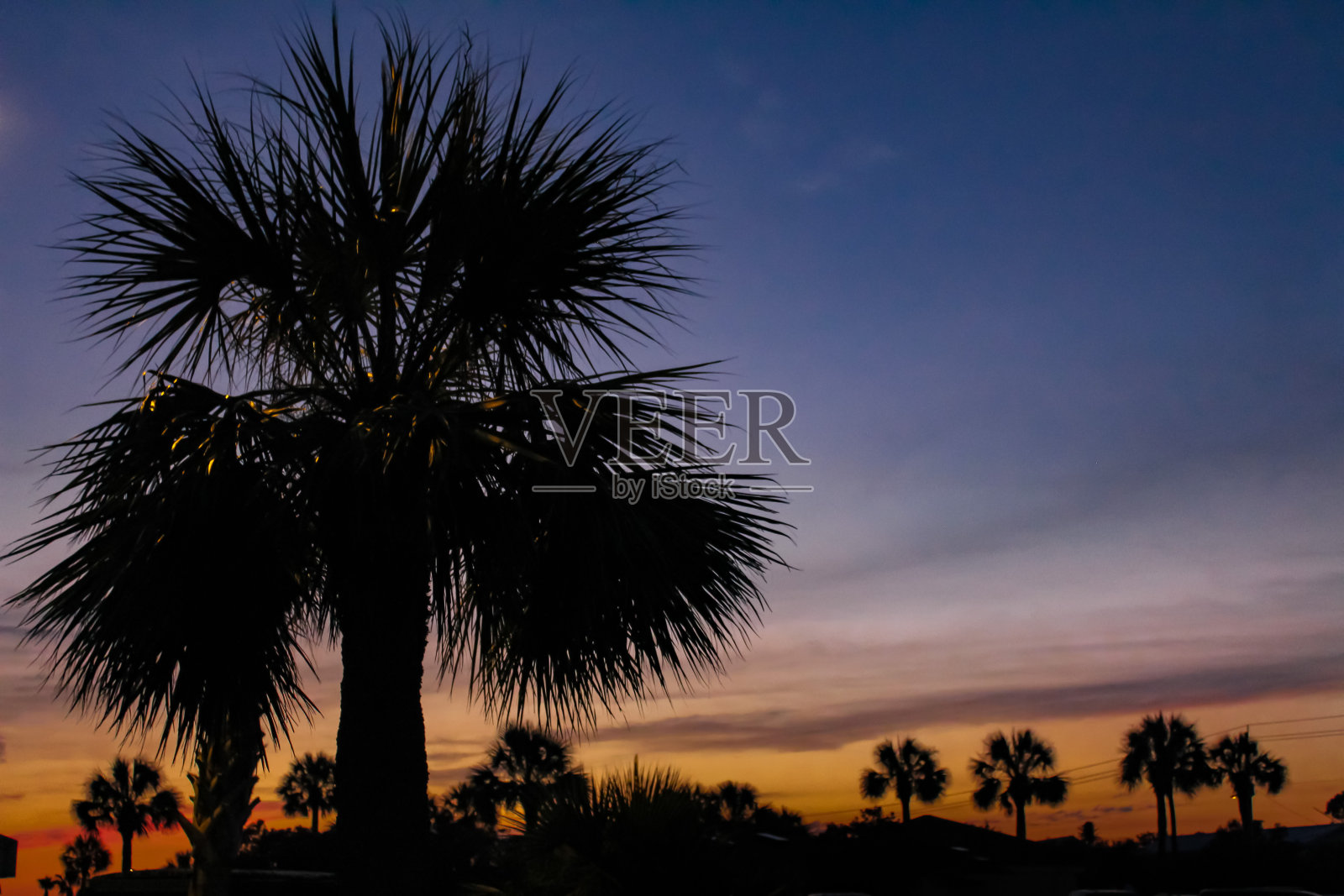 日落热带风暴前的棕榈树照片摄影图片