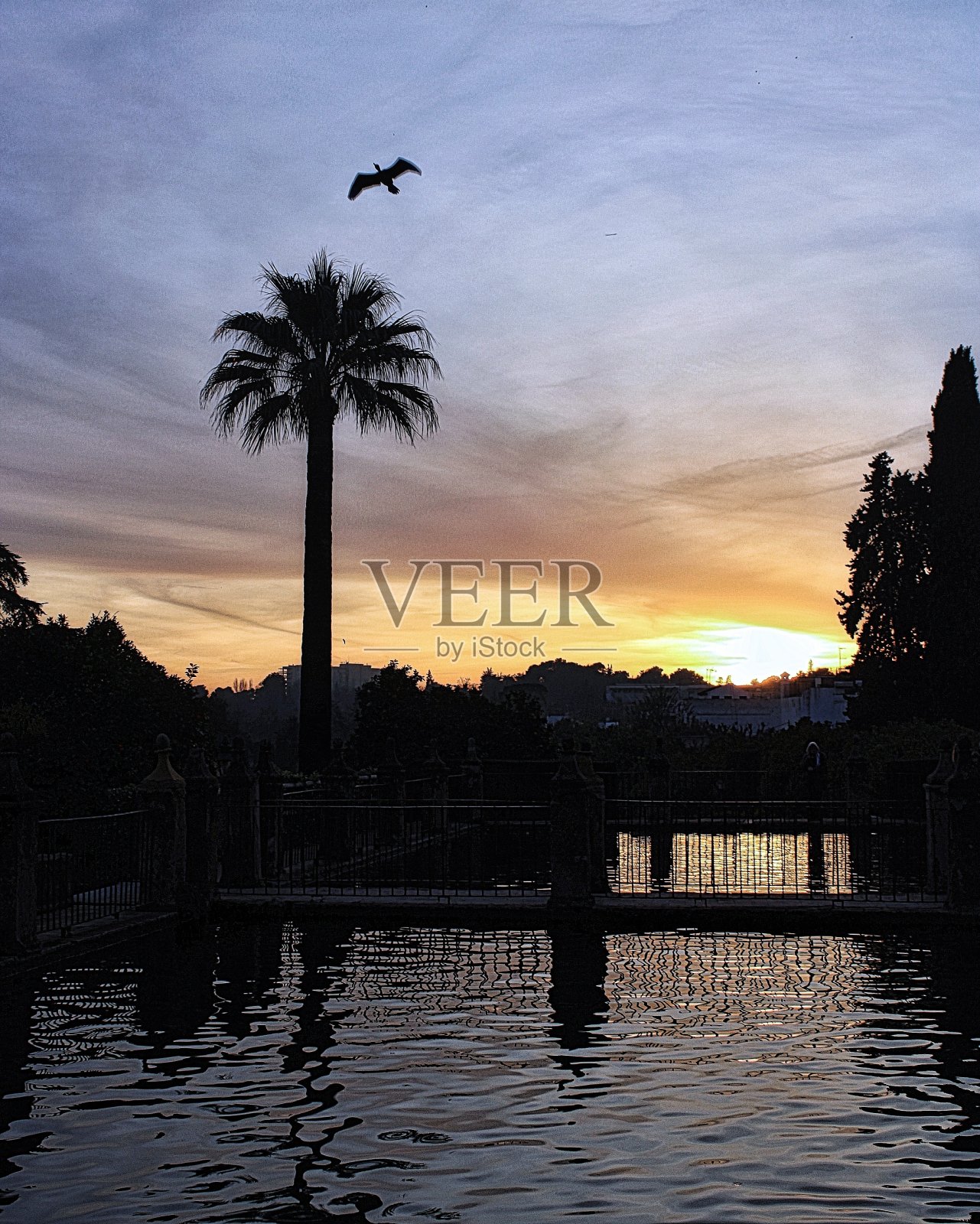 日落照片摄影图片