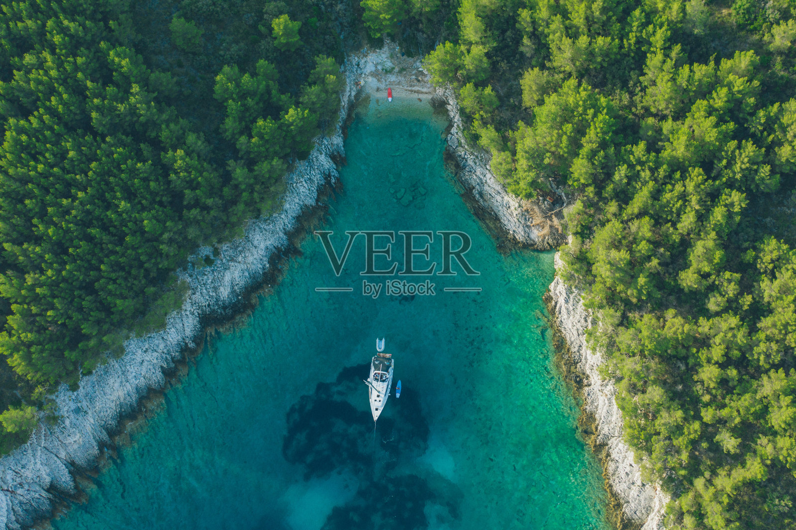 俯瞰停在森林海岸线附近的帆船照片摄影图片