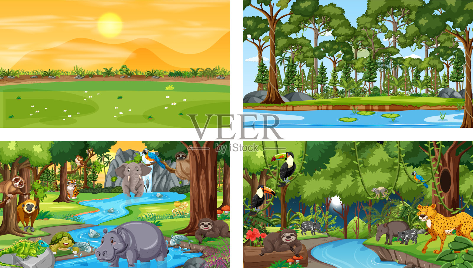 不同的自然景观森林和雨林插画图片素材
