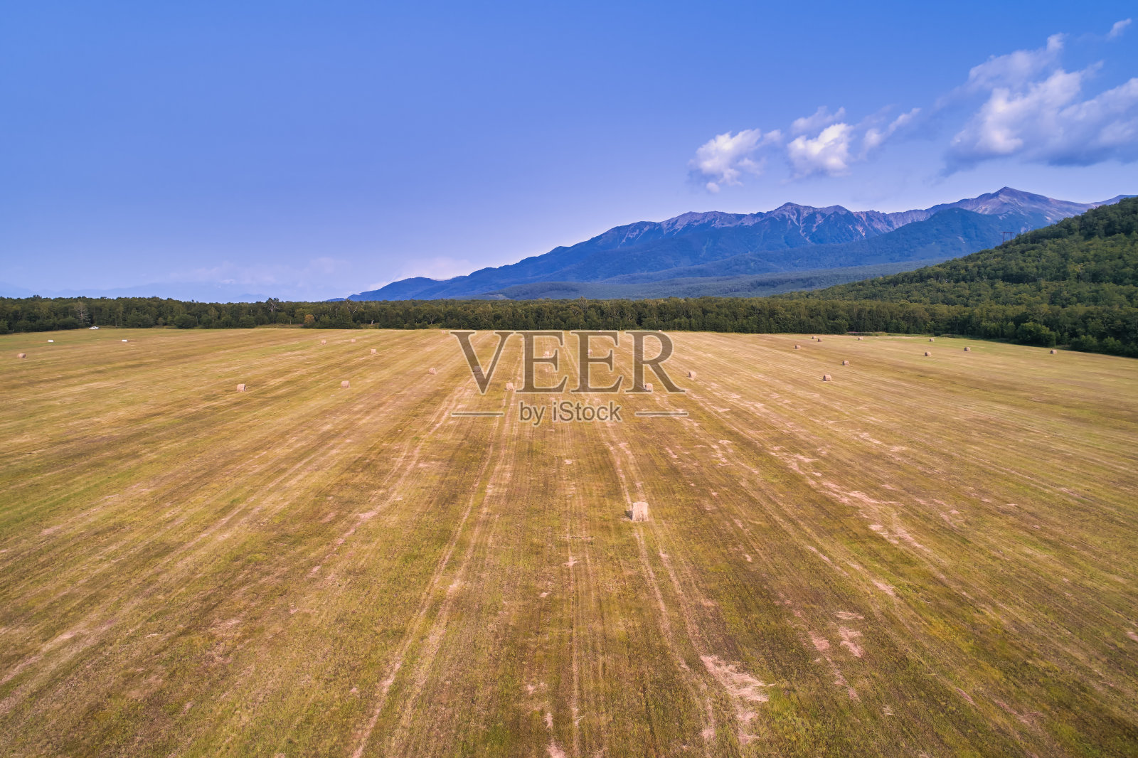 从无人机上看到的农田照片摄影图片