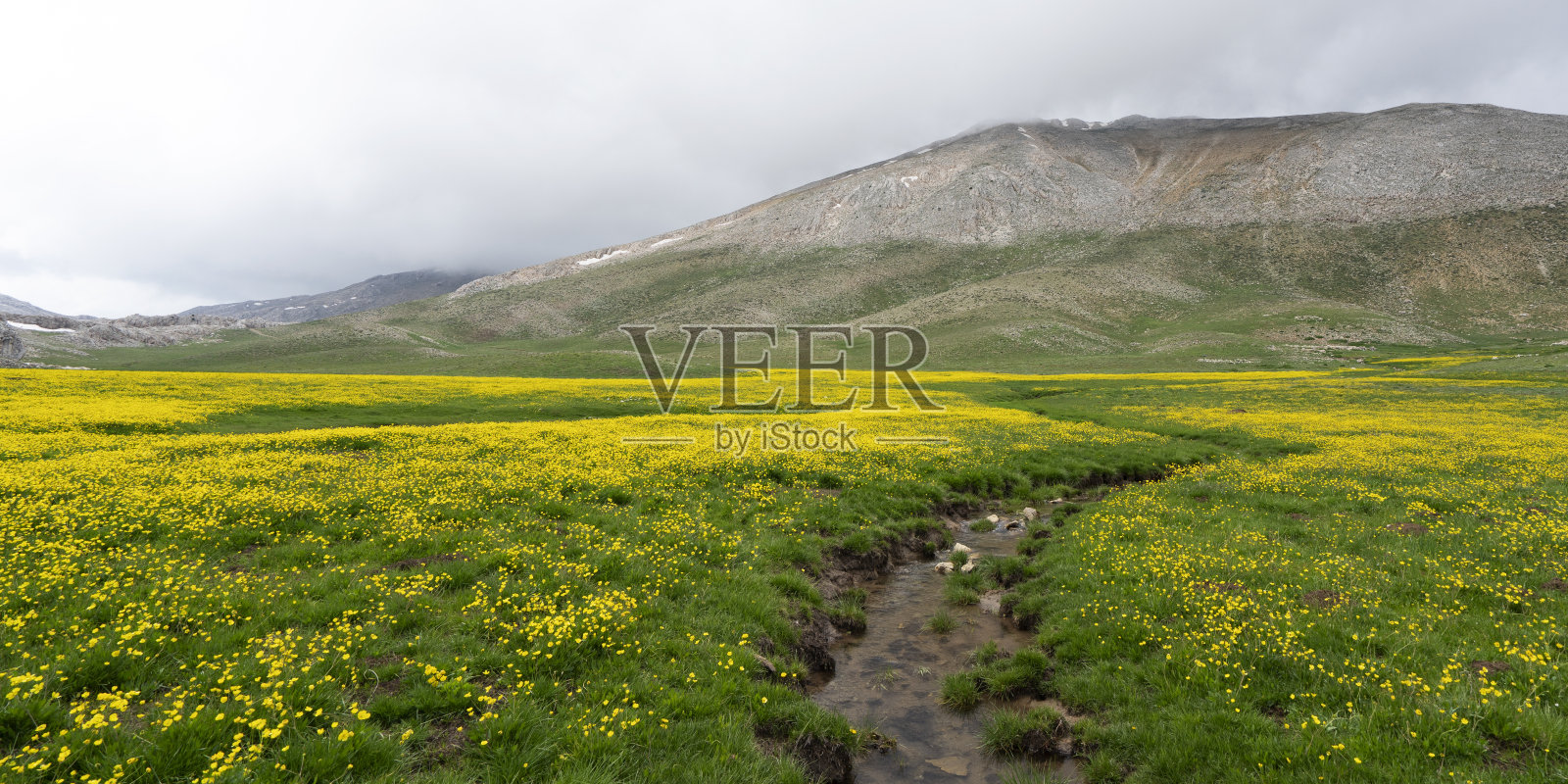 土耳其黄花云天的美丽风景。照片摄影图片