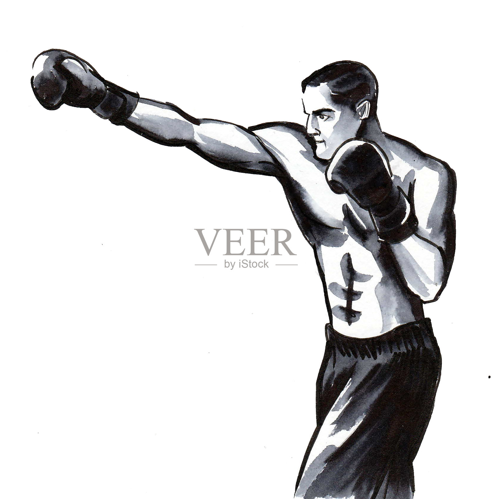 拳击运动员插画图片素材