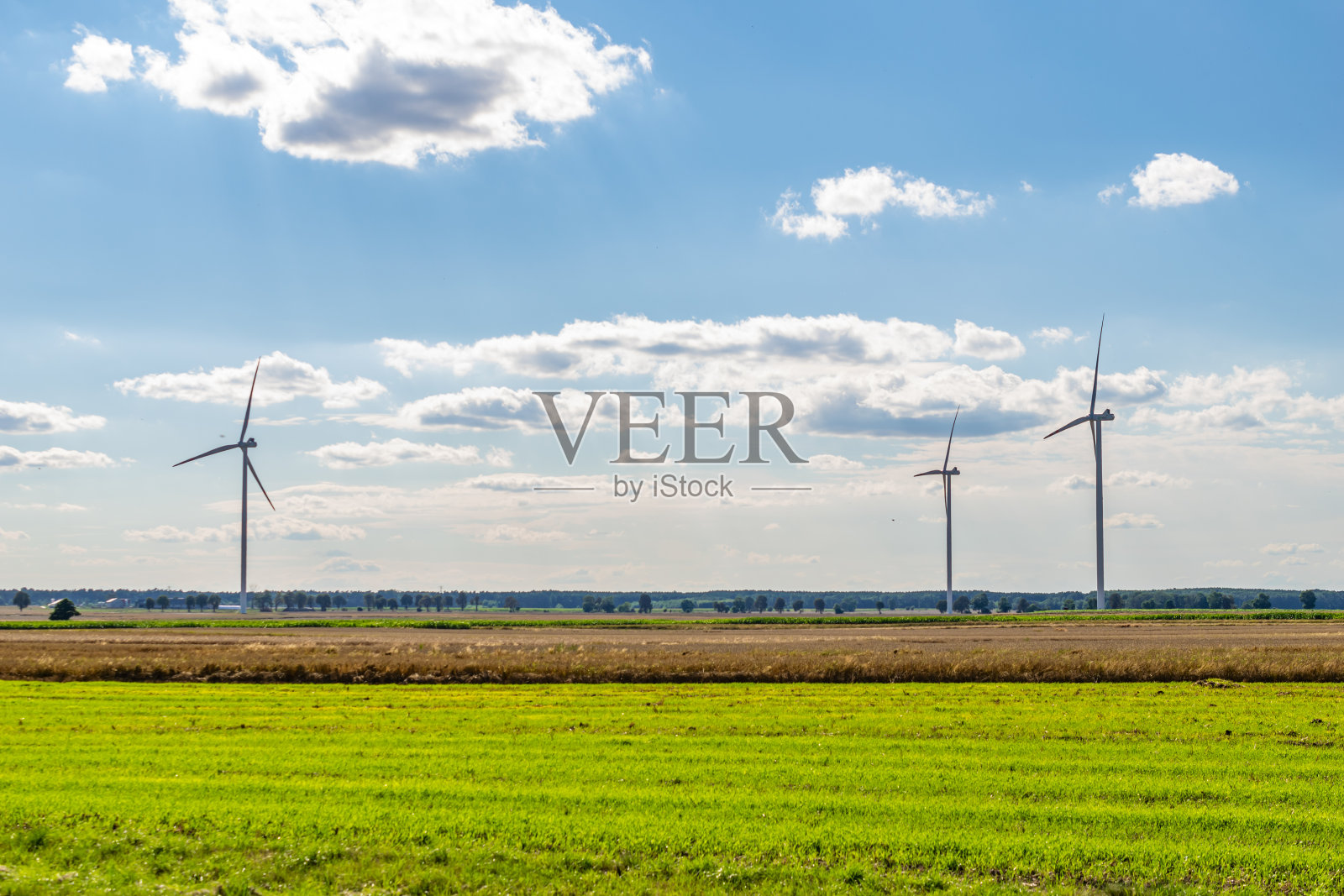 蓝天映衬下阳光明媚的农田照片摄影图片