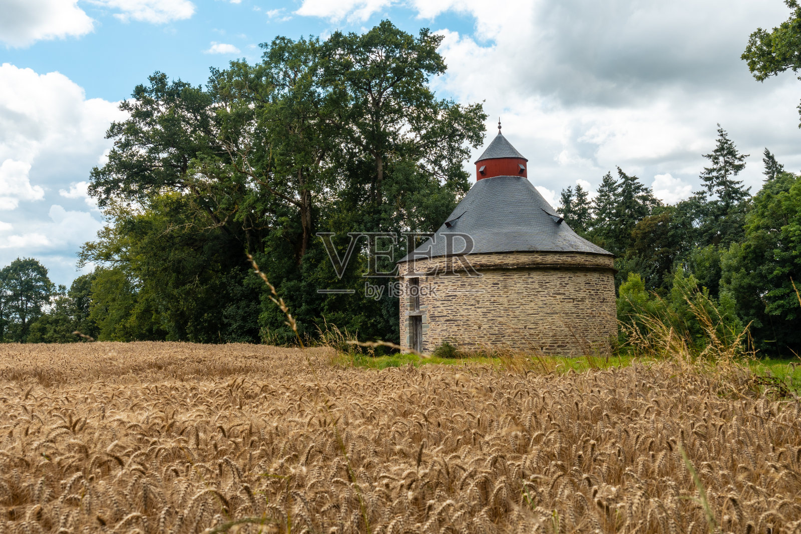 夏天7月，法国布列塔尼的稻草谷仓，靠近Broceliande森林。照片摄影图片
